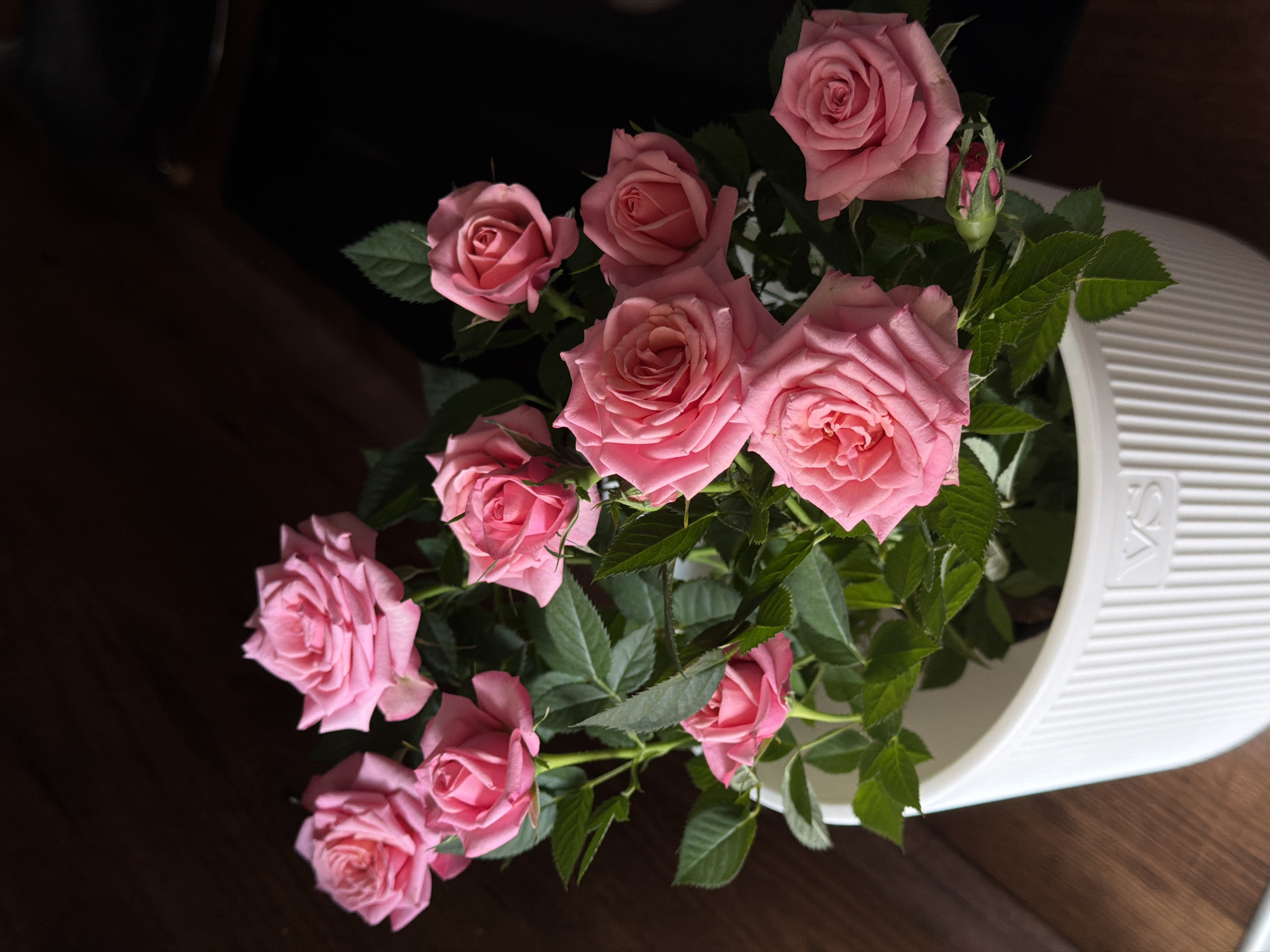 A high-angle shot depicts a cluster of pink roses with green foliage spilling out of a tilted white pot. The scene is set on a dark wooden surface, possibly a table, near a dark corner. The environment is dimly lit. The location is not identifiable as Rossiyskiy, Russia from the image.