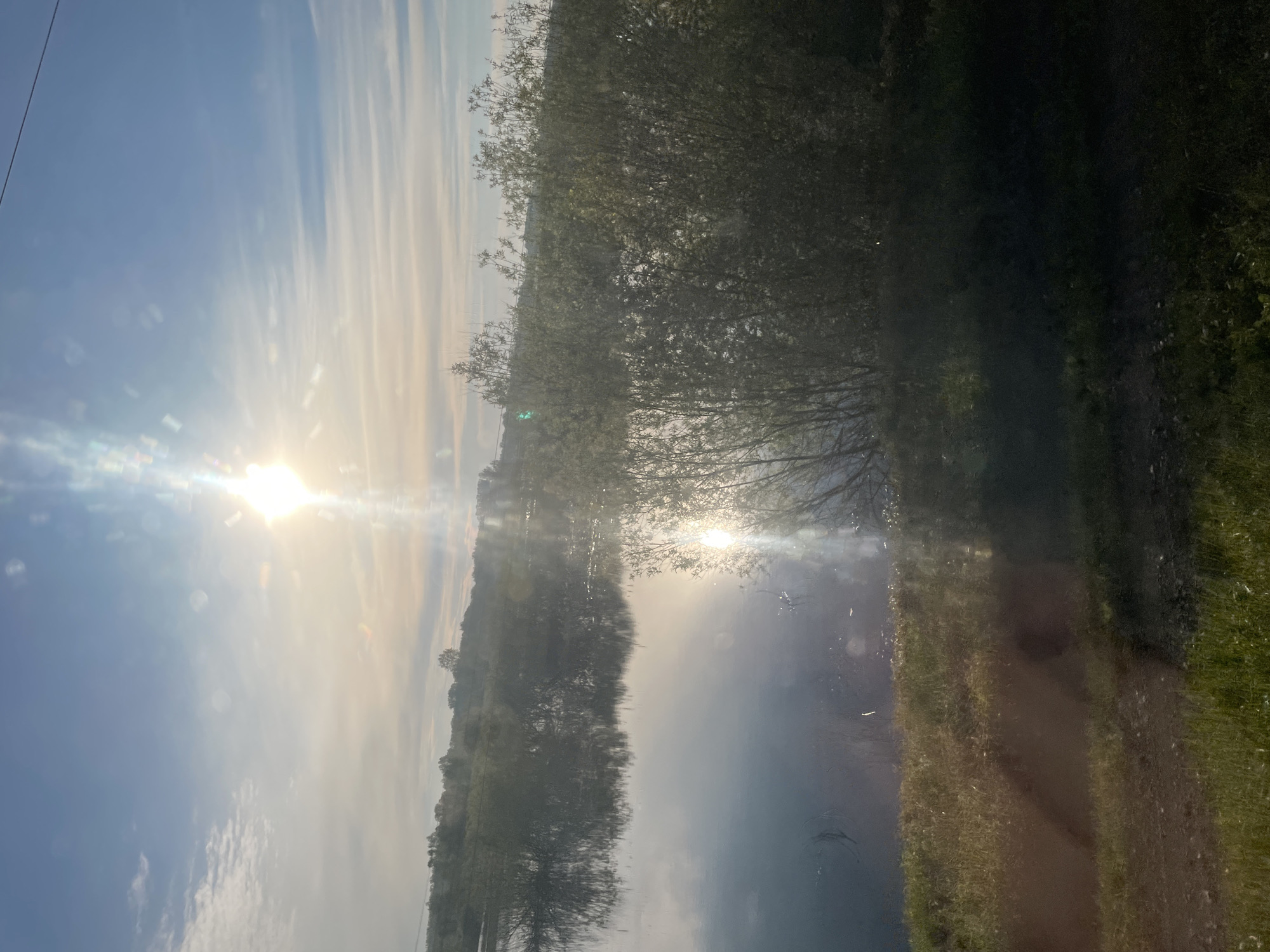 The image shows a bright, sunny scene near a body of water, possibly a lake or river. The sun is high in the sky, causing lens flare. The sky is light blue with long, wispy clouds. The water reflects the sky and sunlight. Along the edge of the water are trees, whose reflections are also visible in the water. On the right side of the image is a grassy area with a dirt path running through it. The details necessary to confirm the location is Talmenka, Russia are not evident within the picture.