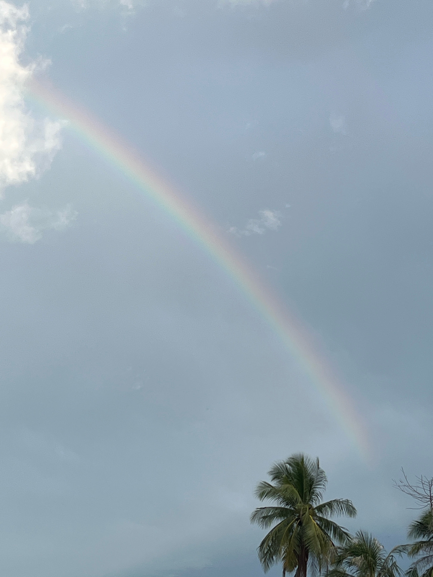 The image depicts a muted, overcast sky with a soft rainbow arc stretching diagonally from the upper left to the lower right. White, wispy clouds are visible, particularly on the left side of the frame. In the lower right quadrant, the tops of several palm trees are silhouetted against the sky, their fronds appearing windblown. The overall impression is one of a serene, natural landscape under a somewhat somber sky, with the rainbow offering a subtle touch of color. The location is specified as Lampeuneurutgampong, Indonesia.