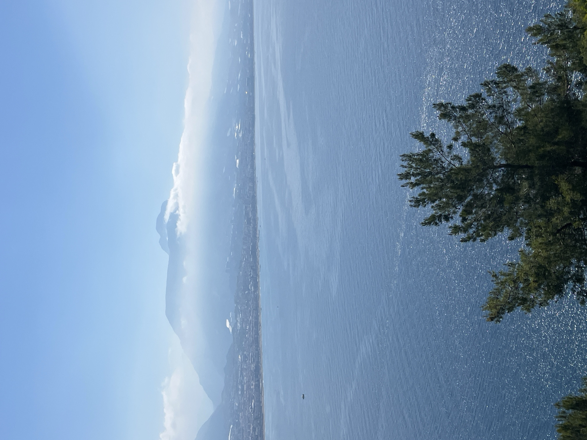 This media file presents a panoramic daytime view of a coastal landscape, likely near Alanya, Turkey. The image is composed of a clear blue sky, distant mountains, a coastal city, a vast expanse of sea, and a tree in the foreground.
The upper left portion of the image is dominated by a bright, clear blue sky, with some soft, hazy clouds visible near the mountain peaks. Along the horizon on the left, a range of large, hazy blue-grey mountains stretches into the distance, with their lower slopes merging into a coastal plain.
Below the mountains, a long, narrow strip of urban development, presumably the city of Alanya, lines the coast. Numerous buildings are visible, with some reflecting glints of sunlight.
The majority of the central and right side of the image is occupied by the calm, deep blue waters of the sea. The surface of the water is covered in subtle ripples and shimmers with countless bright reflections of the sun, especially towards the right. A small, dark boat is visible on the water in the middle distance, suggesting maritime activity.
In the lower right corner, the dark green foliage and branches of a tree extend into the frame, partially obscuring the sea and adding a natural element to the foreground.
The scene depicts bright daylight under sunny and generally clear weather conditions, though a slight atmospheric haze softens the distant mountains. The overall mood is one of tranquility and natural beauty. No text is visible in the image.