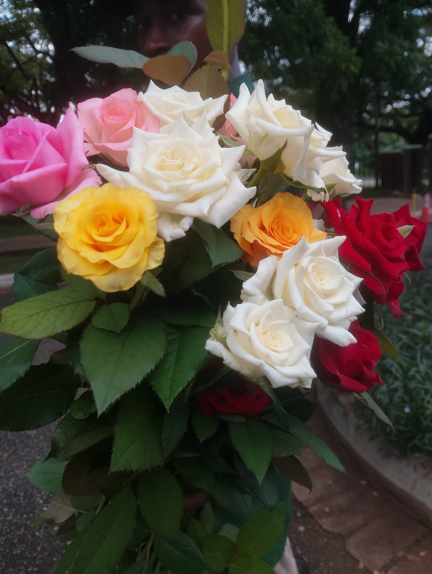 A close-up shot features a vibrant bouquet of roses in various colors, including pink, yellow, white, and red. The roses are the primary subjects, with their petals intricately detailed. They are held by an unseen person, whose reflection is visible in the upper left corner of the image. The reflection shows a person's face and some foliage, suggesting an outdoor setting.
The scene appears to be outdoors, possibly in a garden or park, given the presence of greenery and trees in the background. The lighting suggests it might be daytime, though the exact time is not discernible. The background is slightly blurred, with dappled light filtering through trees, creating a bokeh effect. This implies a potentially bright day, but the exact weather conditions are unclear.
The roses themselves are lush and healthy, with deep green leaves forming a backdrop. Some of the roses are fully bloomed, while others are still in the process of opening. The variety of colors suggests a deliberate arrangement, possibly for an occasion or as a gift. The overall impression is one of natural beauty and a sense of freshness.
In the background, hints of a paved area and some construction or fencing can be observed, along with some orange traffic cones. These elements suggest a location that is possibly an urban or suburban area with some development. The specific mention of "Iju, Nigeria" as the location context provides geographical information.
No visible text is present in the image. The focus is entirely on the floral arrangement and the subtle reflections and background details.