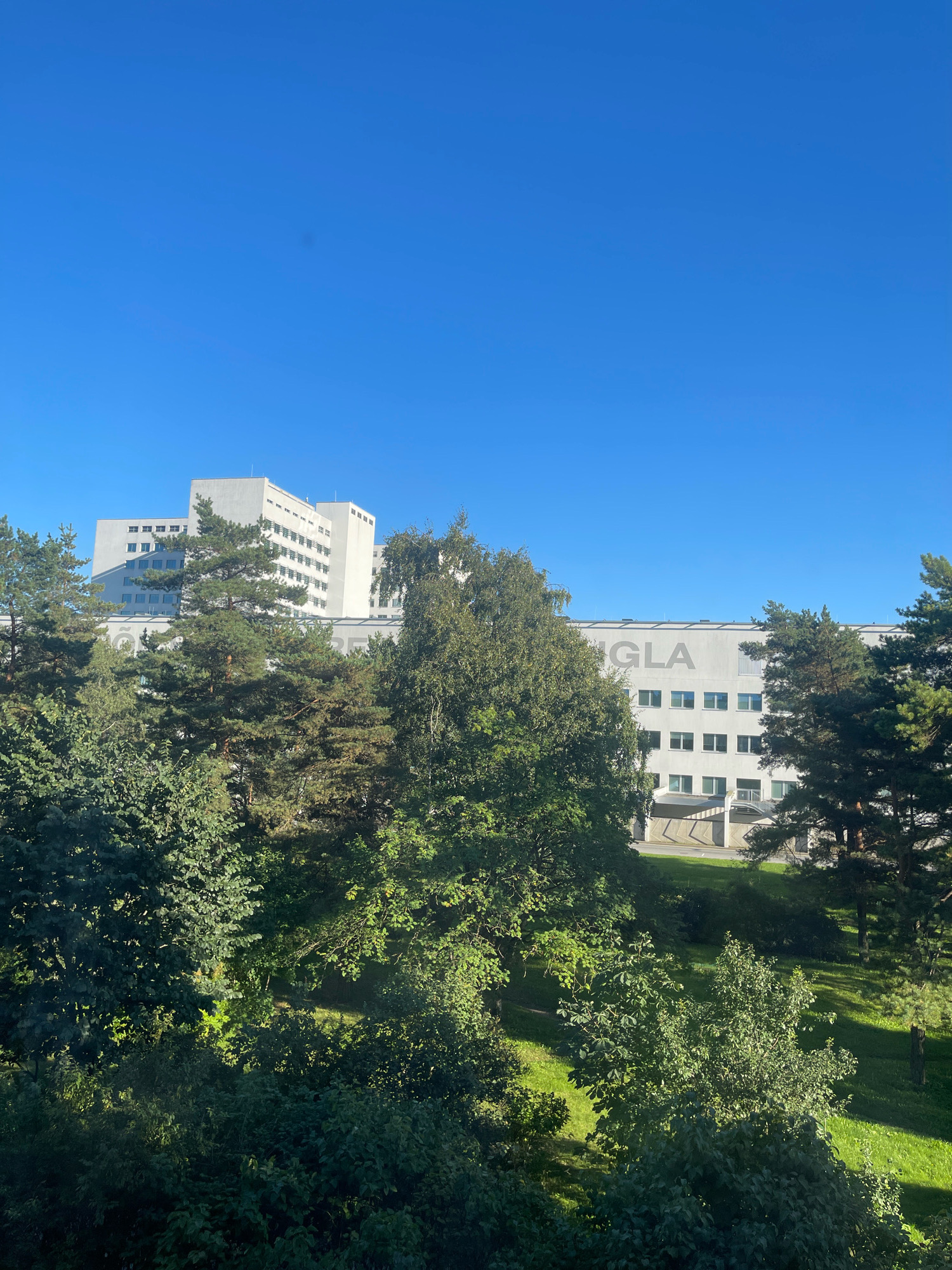 The image displays a view of a modern white building with multiple floors, partially obscured by lush green trees in the foreground. The building features a repetitive pattern of windows and has large letters "GLA" visible on its facade. The sky is clear and bright blue. The scene appears to be an outdoor urban environment, likely during daytime, with a well-maintained lawn and trees suggesting a park-like setting surrounding the building. The architecture and the clear sky are consistent with a summer day in Tallinn, Estonia. No people or animals are visible in the frame.