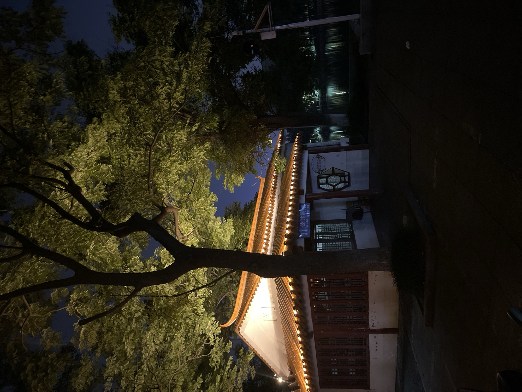 This media file captures a serene night scene featuring traditional architecture and natural elements. The main subject is a traditional Chinese-style building, characterized by its ornate, tiled roof with upward-curving eaves. The roofline is illuminated by a series of warm, glowing lights, creating a distinct visual outline. The building has traditional wooden lattice windows and a white facade.
To the left, a large, leafy tree dominates the foreground, its branches extending across the frame. Portions of its foliage are brightly lit from below, making the leaves appear vibrant green against the dark blue night sky. The tree's dark trunk and prominent branches are visible, framing the architectural structure.
On the right side of the image, a body of water, likely a canal or pond, reflects scattered lights from what appear to be distant structures or streetlights, adding depth to the nocturnal setting. The sky above is dark, indicating that the photograph was taken at night.
No human activity or people are visible, contributing to the tranquil atmosphere. A notable detail is a sign attached to the building, near its upper right section, displaying text in both Chinese and English. The Chinese characters read "公共厨房" (Gōnggòng chúfáng), which translates to "Public Kitchen." Below this, the English text "Public Kitchen" is also visible. The overall scene conveys a peaceful, illuminated evening in a culturally significant setting.