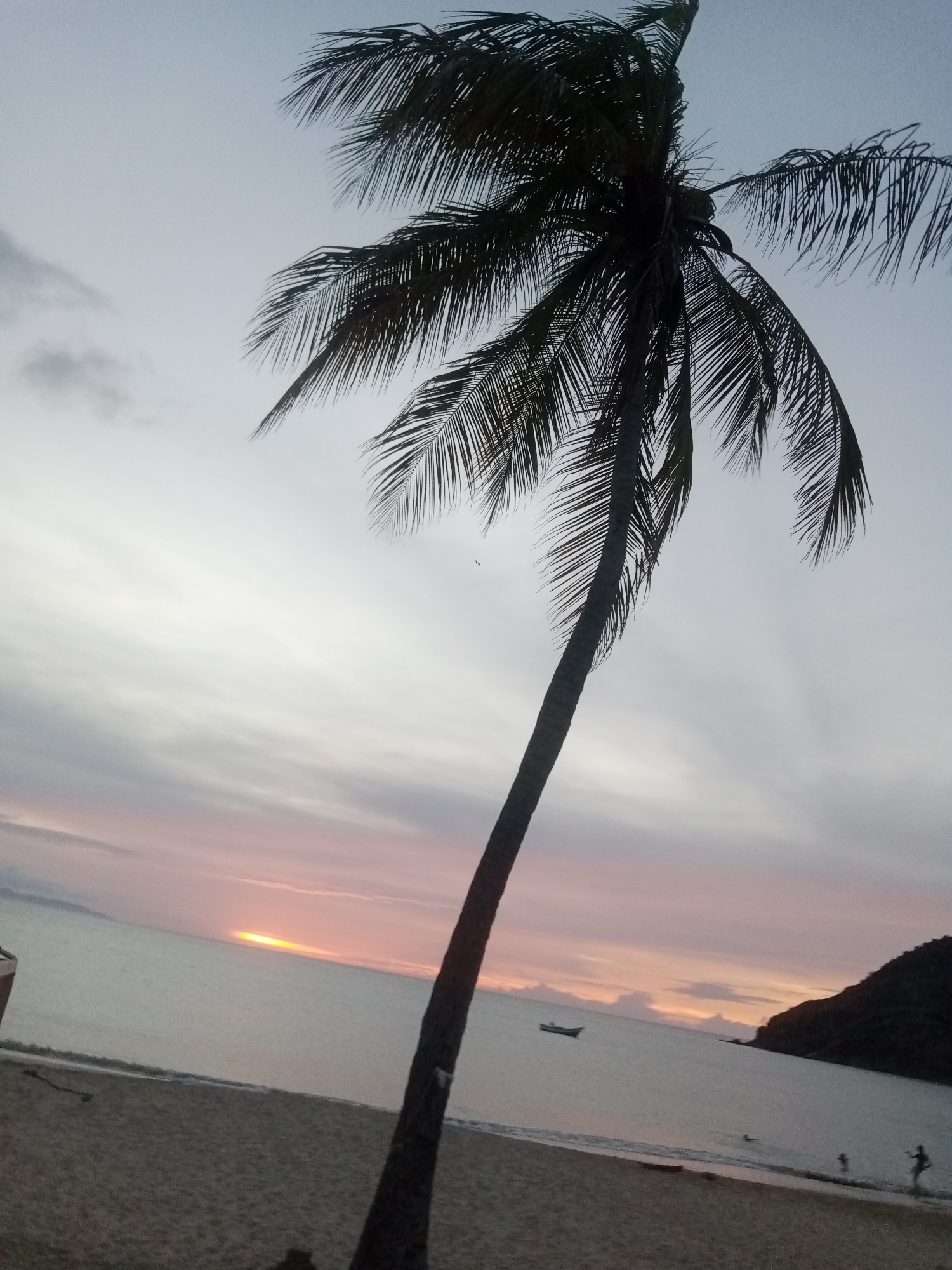 The image depicts a beach scene at sunset in Juan Griego, Venezuela. A tall palm tree is the dominant foreground feature, leaning diagonally across the frame. The sun is setting over the ocean, creating a horizontal band of orange and pink light in the sky. In the midground, there is a small boat on the water and a dark, hilly landmass on the right side of the frame. People are visible in the water and on the beach, some appearing as silhouettes. The beach itself is sandy. The sky is overcast with varying shades of gray and faint pink.