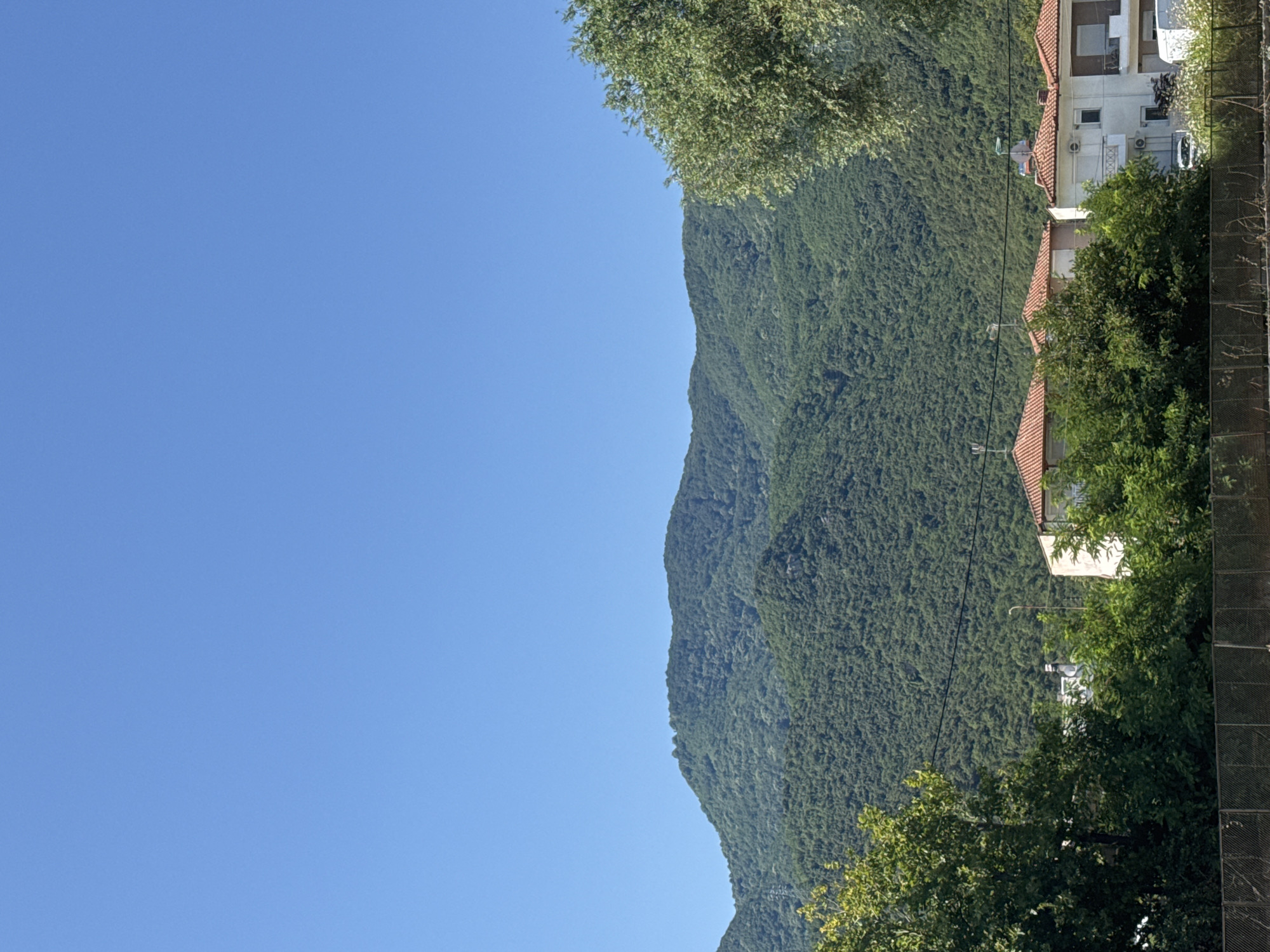 The image depicts a view of the city of Stavros, Greece, with a prominent, tree-covered mountain range dominating the background. The sky is a clear, bright blue. In the foreground, several houses with orange tiled roofs are visible, interspersed with lush green trees. A metal fence runs along the bottom of the image. The scene appears to be a sunny day, with no people visible. The houses seem to be residential buildings, and the overall impression is one of a peaceful, rural setting at the foot of a mountain.