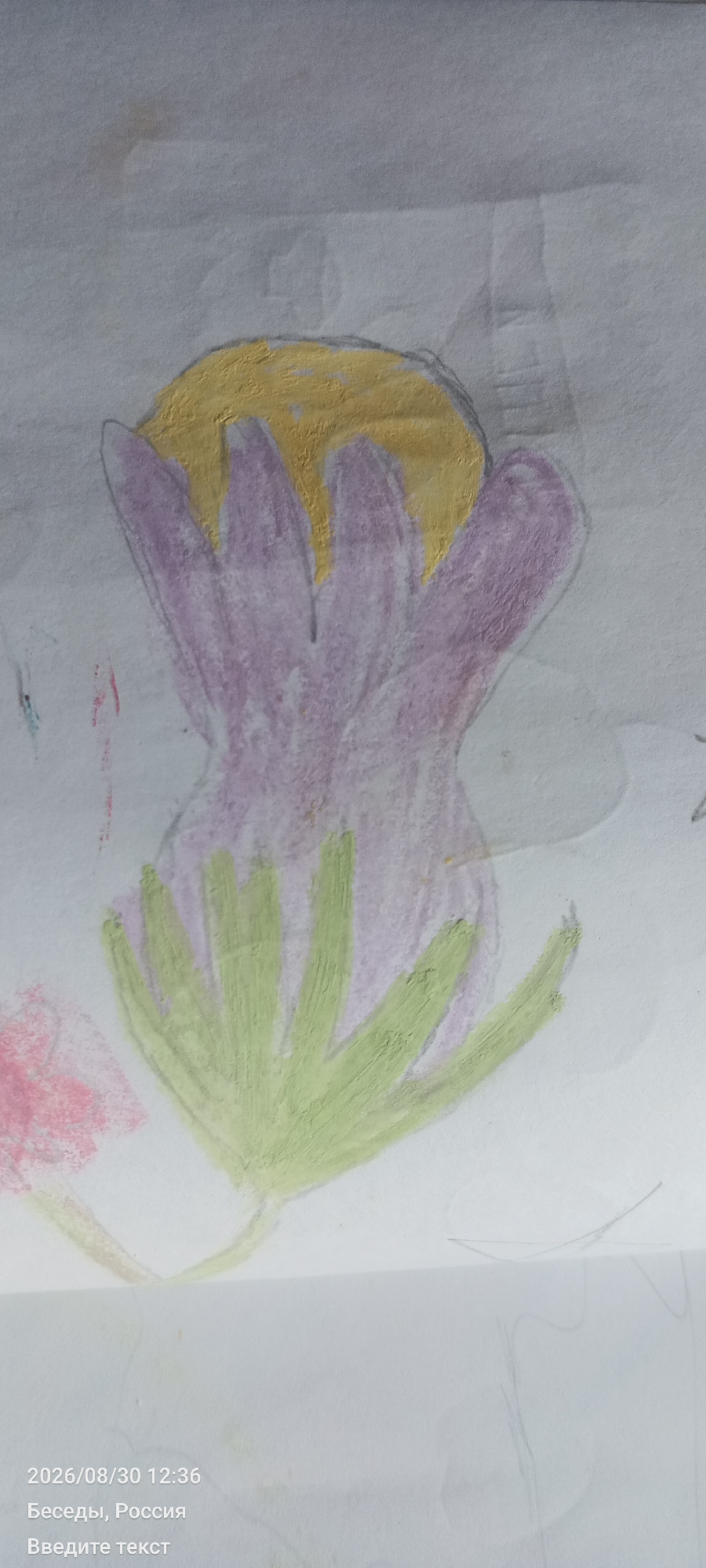 An abstract drawing of a flower is rendered on paper. The flower features a yellow center and purple petals that are drawn in broad strokes. Green lines form the leaves or stem of the flower. The background of the drawing is white paper with some faint smudges. Text at the bottom of the image indicates a date and time of "2026/08/30 12:36", followed by "Беседы, Россия" and "Введите текст", which translates to "Chats, Russia" and "Enter text". The location is given as Unknown, Unknown.