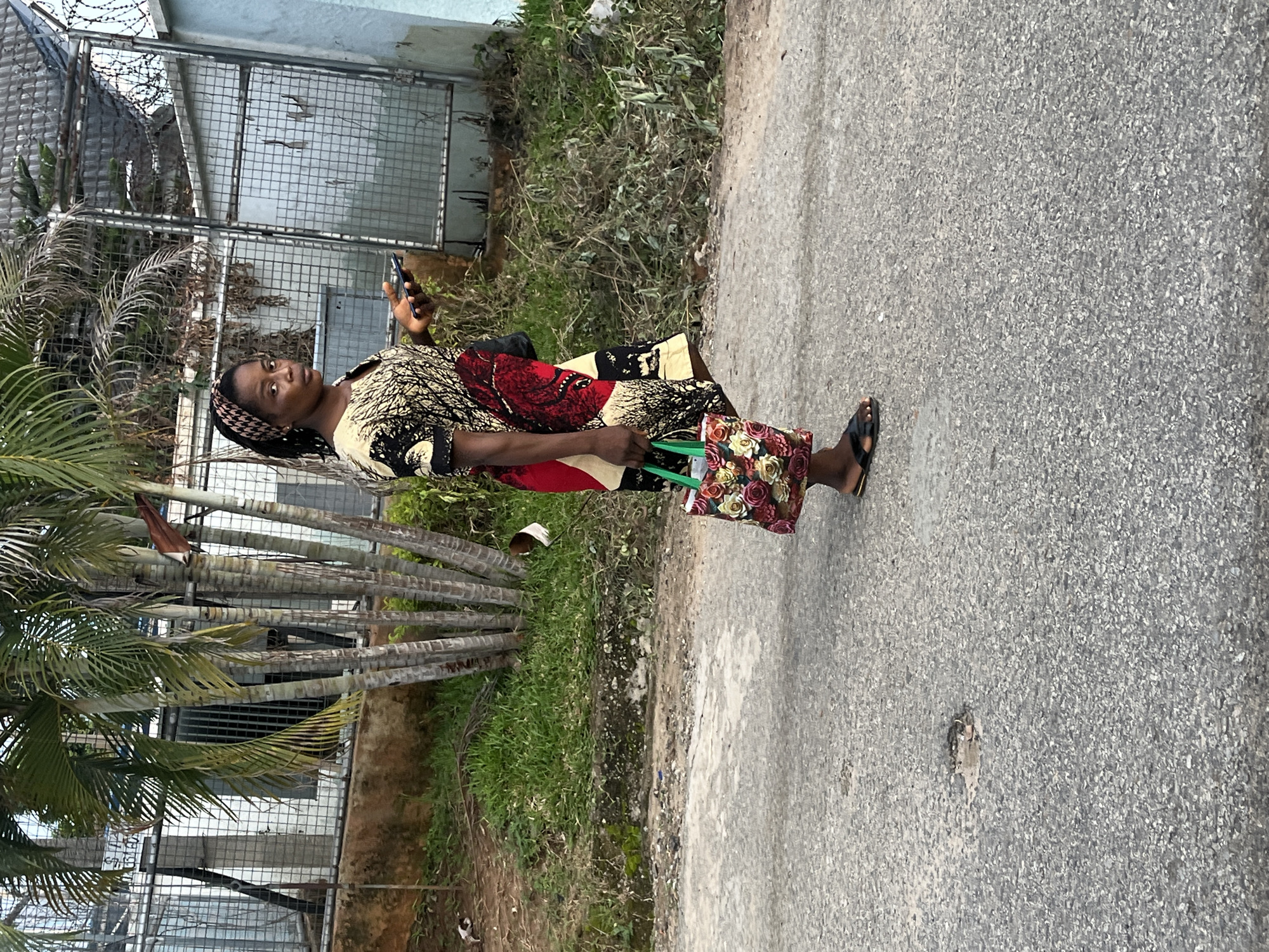 A woman of African descent stands on a paved road in Abuja, Nigeria. She is facing slightly to the right, looking towards the viewer. She has dark hair pulled back and is wearing a colorful dress with a tribal-like pattern. In her right hand, she holds a dark-colored smartphone. In her left hand, she carries a floral-patterned tote bag with green straps. She is wearing black sandals. Behind her, palm trees and a chain-link fence line the area, which appears to be a residential or commercial space, with overgrown vegetation and some litter visible. The road surface is asphalt with visible cracks and patches. A small, white and brown dog is visible in the grassy area behind her to the left.