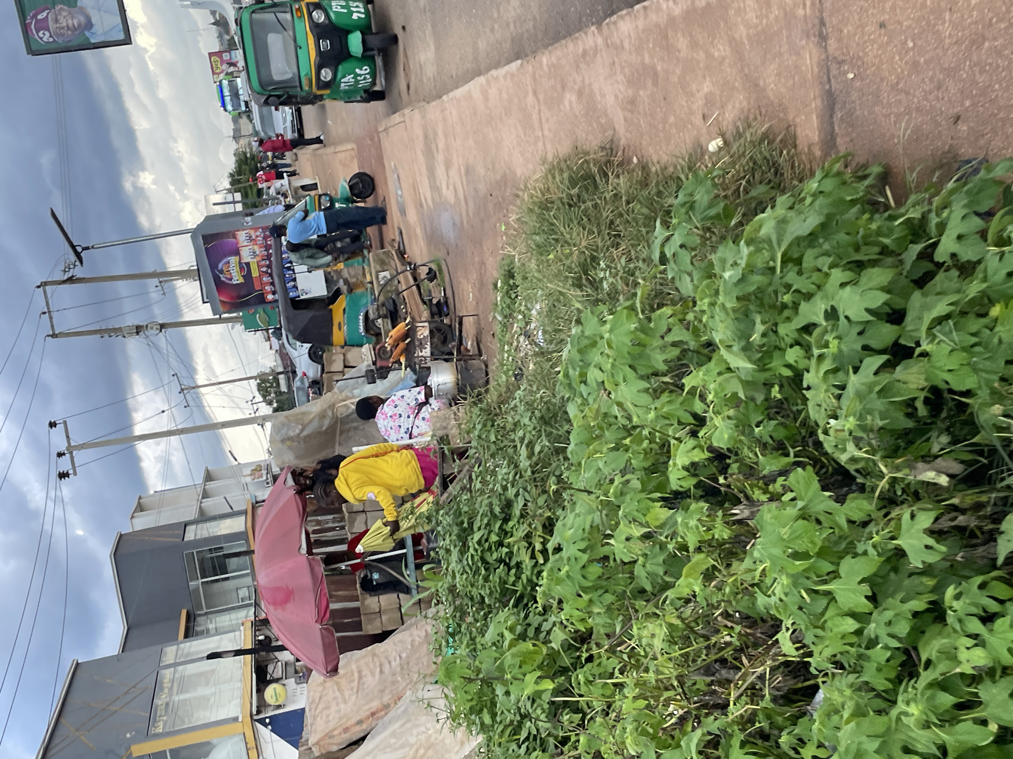 The image depicts a street scene in Jos, Nigeria, likely a market area. In the foreground, dense green foliage lines the side of a reddish-brown paved walkway. Behind the foliage, a red umbrella shades a vendor area. Several people are present, including a person in a yellow hoodie and pink pants, and another in a patterned shirt, seemingly engaged in activities around a cooking setup. Various objects are visible, such as stacks of materials, what appears to be a grill with corn, cooking pots, and a tricycle tuk-tuk. Further in the background, other vehicles, including more tuk-tuks and a bus, are on the street. Buildings with modern architecture are visible on the left, with signage including one for "Festival". A billboard featuring a portrait of a man in traditional attire is also present. Power lines and street lights are overhead. The sky is overcast with clouds. The scene suggests a busy urban environment with commercial activity.