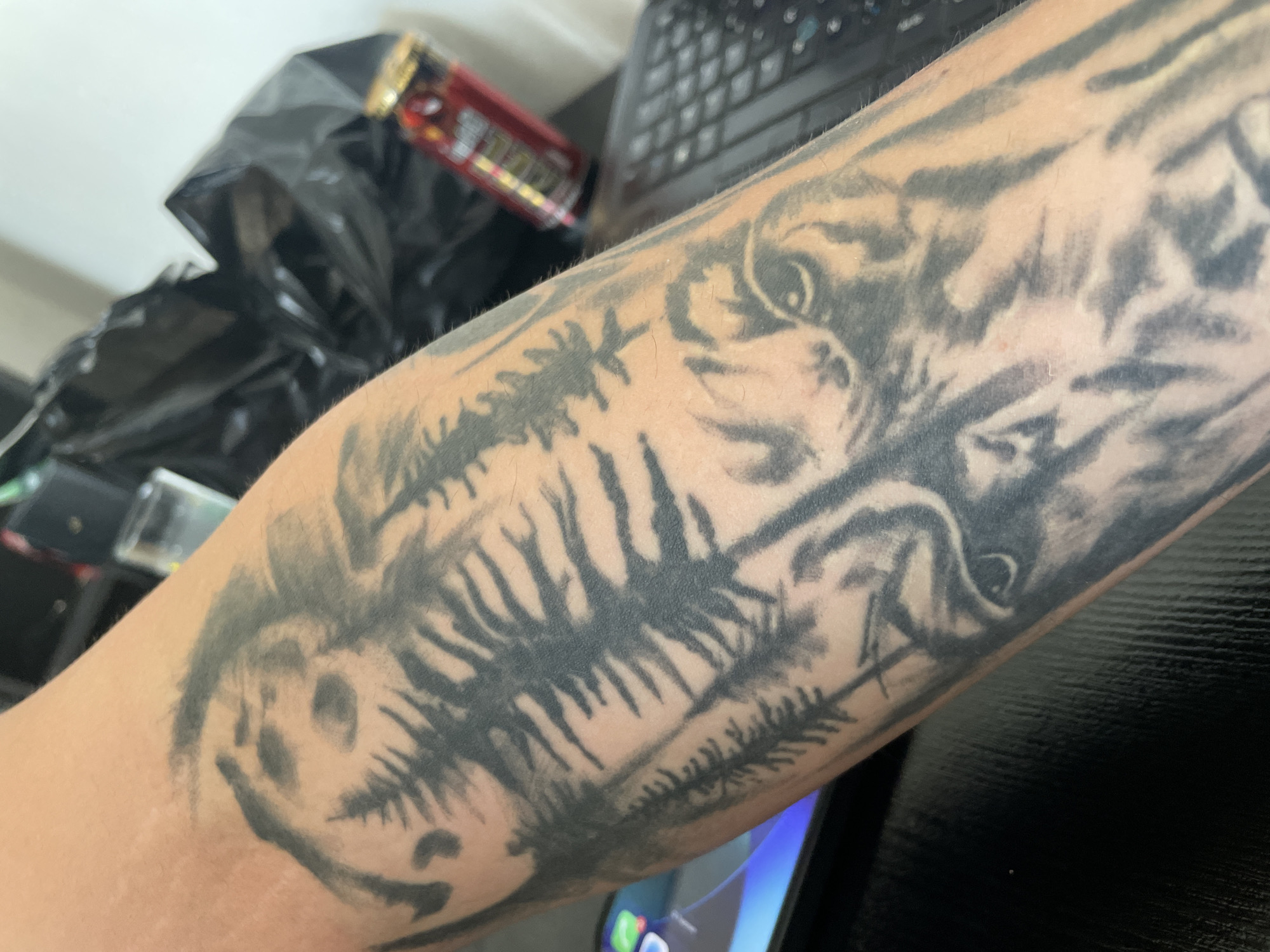 The scene, depicted as being in the city of Vlahovo, Bulgaria, features a human forearm positioned over a dark, reflective surface. The forearm exhibits a large, black and grey tattoo. The tattoo's design incorporates silhouetted evergreen trees and what appear to be the faces of two animals, possibly canids, with one eye from each prominently visible in the lower sections of the tattoo. An arrow motif is also integrated into the tattoo on the inner aspect of the arm. In the background, to the left, a partially visible electronic screen displaying application icons is present. To the right, a crumpled black plastic bag, a red and gold beverage can, a clear glass containing liquid, and a segment of a dark computer keyboard are discernible against a white wall.
