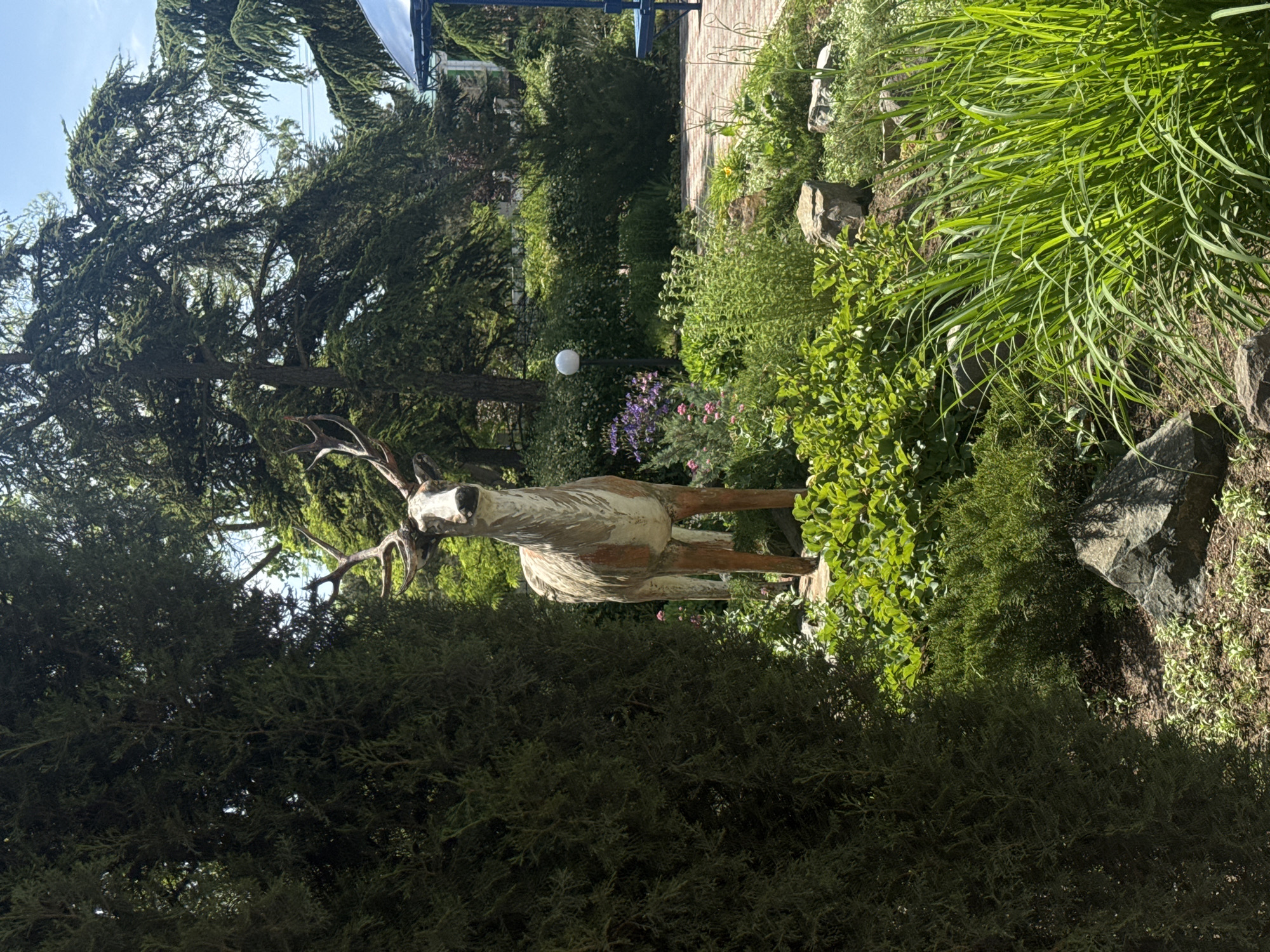 A vertical, wide shot shows a sculpture of a deer in a yard in Yevpatoriya, Ukraine. The deer is standing facing the camera. It is white, brown, and tan and has long antlers. The deer is in a garden area of green plants and bushes. A large tree is to the deer's left. In the distance is a building with a blue roof.