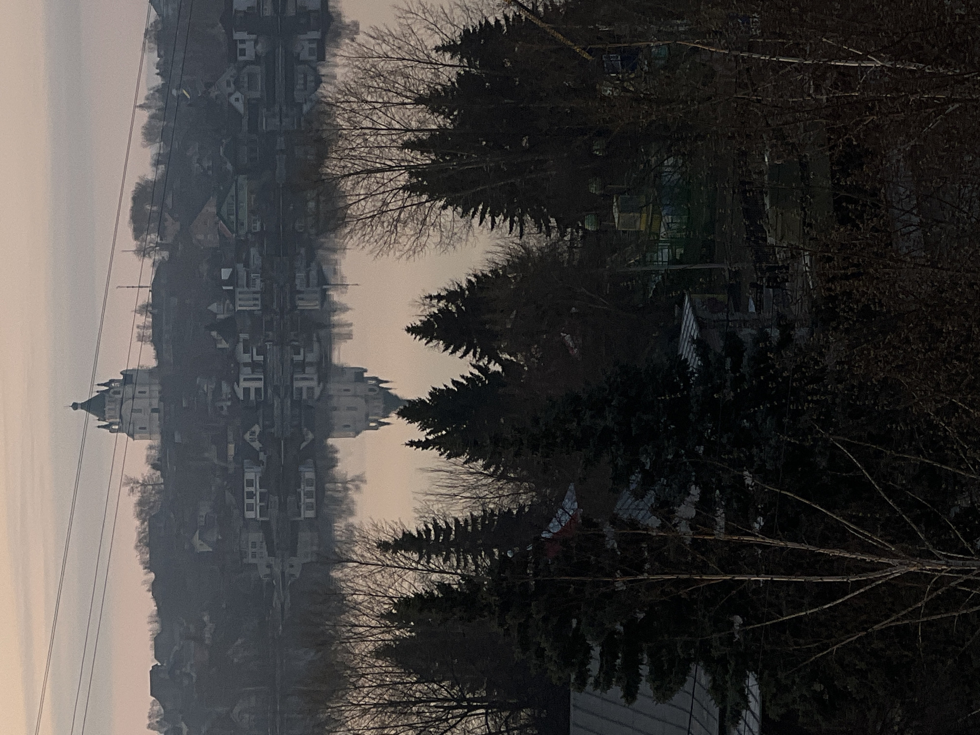 The image shows a view of Nizhny Tagil, Russia, specifically a cityscape nestled on a hill obscured by mist. Dominating the scene is a castle-like structure with a prominent tower, indicative of historical architecture. In the foreground, dark, coniferous trees and leafless branches create a natural frame. Power lines are visible to the left of the cityscape. The lighting suggests a time of day with either low light or overcast conditions, further enhancing the misty atmosphere. No people are visible. The image is rotated 90 degrees clockwise.
