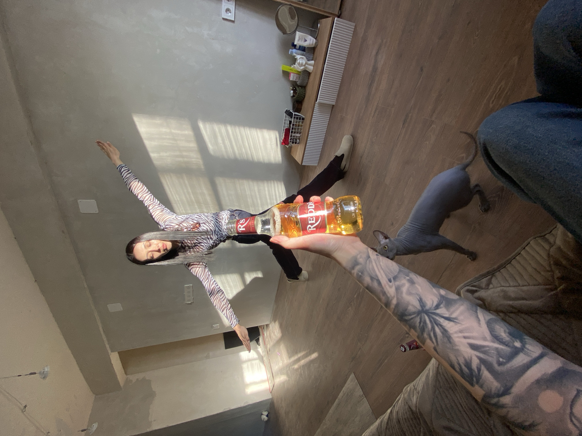 A person with a tattooed forearm holds a bottle of "Redd's" beer out toward a woman in a zebra-striped top and dark pants who stands with arms outstretched, posing as if balancing the bottle. A gray hairless cat is to the right of the bottle. The scene appears to be inside a modern apartment, with natural light streaming in from a window. The setting is likely in Votkinsk, Russia, given the beer brand's regional availability. The photo is taken from a low angle, possibly by a person sitting on a couch. Other details include hardwood flooring, a shelf with various items, and a glimpse of another person in jeans.
