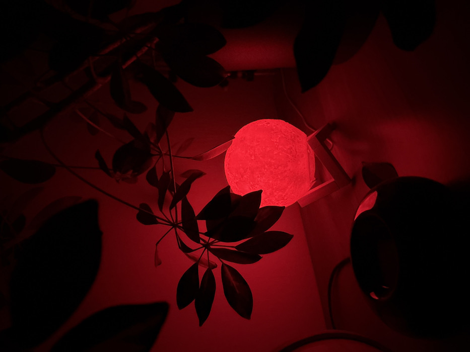 A vibrant red glow emanates from a spherical lamp, illuminating surrounding plants and partially obscuring details in the low-light environment. Dark foliage silhouettes frame the light source, creating a stark contrast against the crimson hue. Some objects are faintly visible, suggesting a room with scattered items. Overall, the image conveys a sense of moody ambiance dominated by the color red.