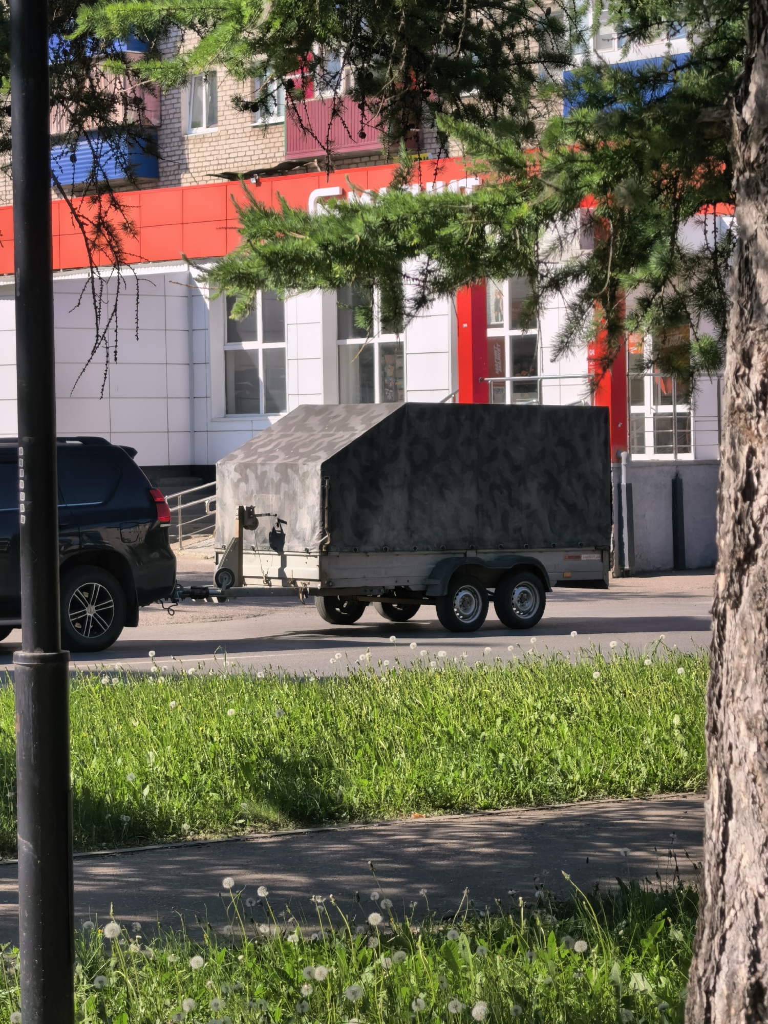 A black SUV is pulling a covered trailer along a street in Sterlitamak, Russia. The SUV and trailer are traveling on a paved road with a grassy median covered in dandelions. In the background is a two-story building with white and red facade elements and large windows. A black lamppost is visible to the left of the SUV, and the trunk of a large tree is on the right side of the image. Branches of a tree partially obscure the building in the background.