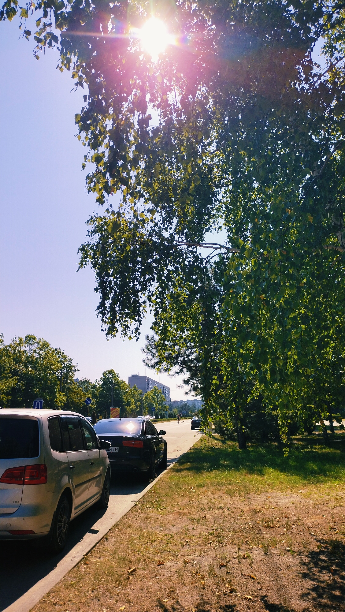 The image captures a sun-drenched street scene in Horishni Plavni, Ukraine, on a clear day. A silver minivan is parked on the left side of the street, parallel to a sidewalk. To its right, a black sedan is also parked on the street. In the background, other vehicles are visible on the road, and a building complex is situated amidst lush green trees lining the street. The sun's rays pierce through the canopy of a large tree on the right side of the frame, casting dappled light and creating lens flare. The foreground features a grassy area with dry leaves scattered on the ground.