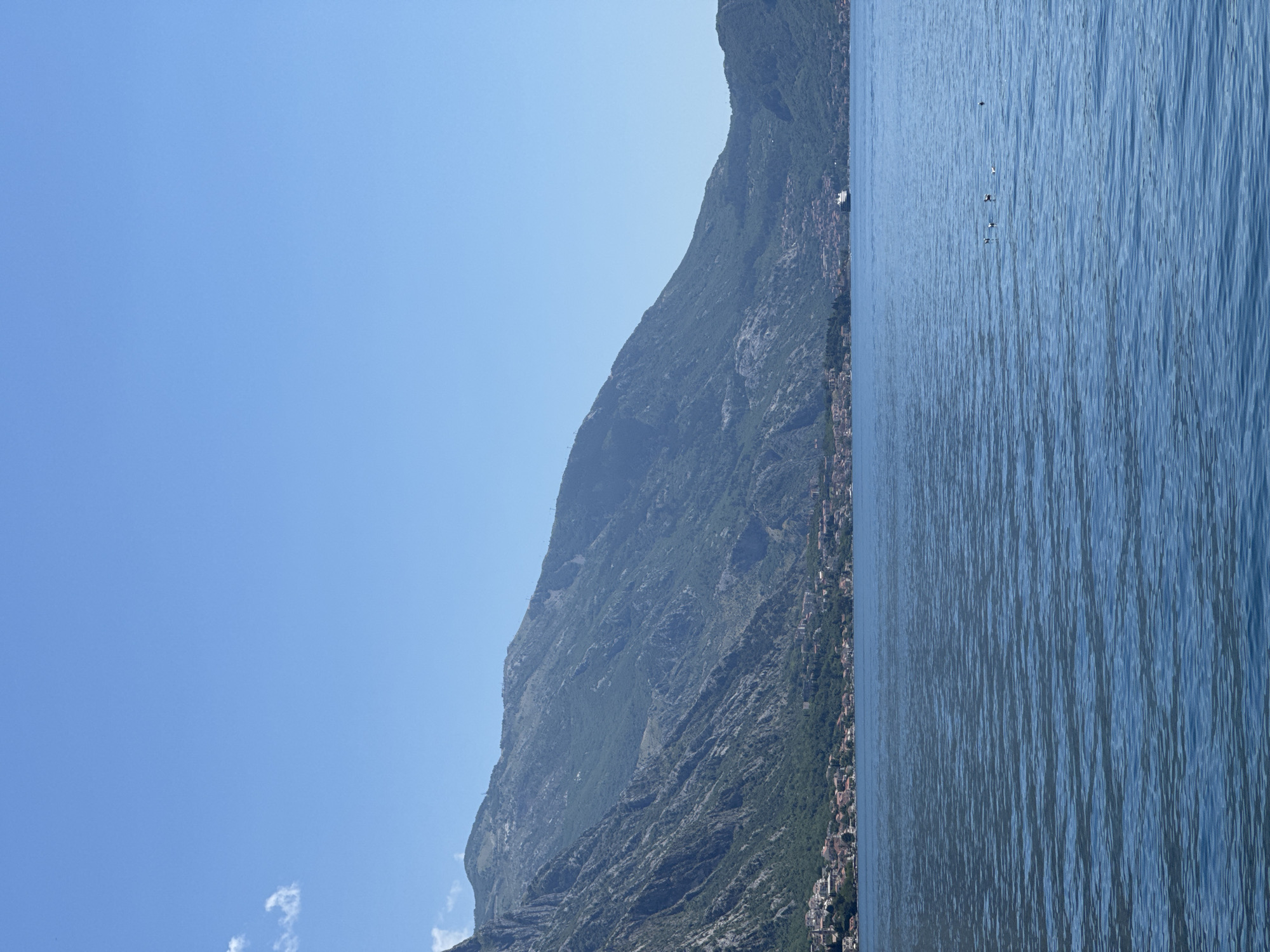 A wide shot captures a serene coastal scene in Donji Orahovac, Montenegro, under a clear blue sky with minimal scattered white clouds on the upper left. A large body of calm, blue water, marked by subtle ripples, dominates the lower two-thirds of the frame. In the mid-distance on the right, five white seabirds float on the water. Beyond the water, a densely vegetated mountainous landscape rises sharply, stretching across the entire horizon. At the base of the mountains, along the coastline, a settlement consisting of numerous buildings with red roofs is visible. A white cruise ship or large yacht is anchored or moving slowly in the water towards the right side of the frame, positioned between the distant landmasses.