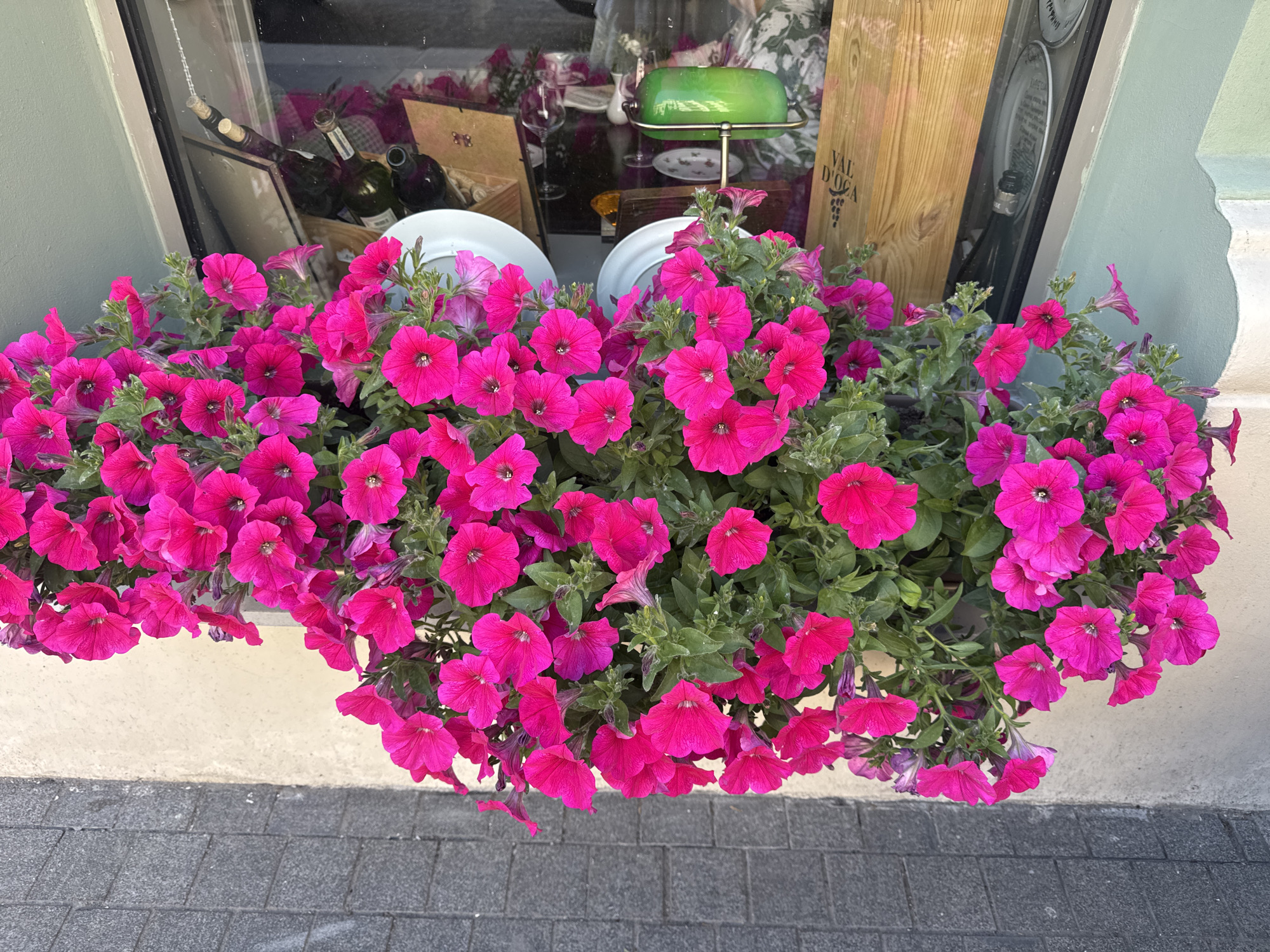 A window box filled with vibrant pink petunias hangs in front of a shop window in Saint Petersburg, Russia. The window displays bottles of wine, wine glasses, white plates, and a green lamp. Outside the window, cobblestone pavement is visible.