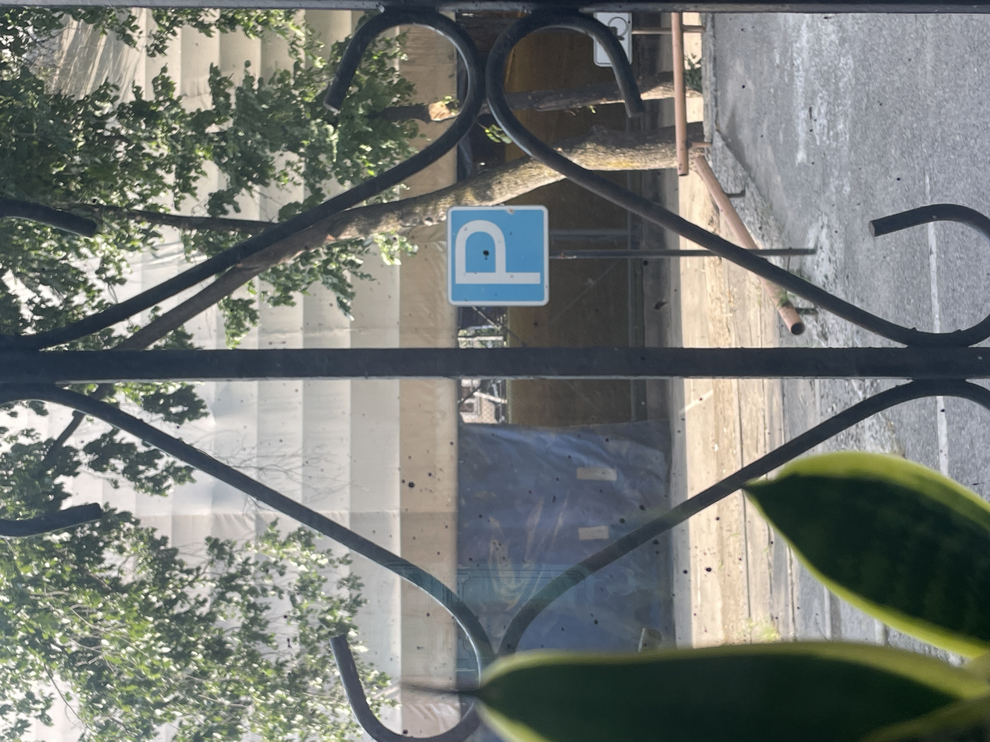 A parking sign with a blue background and a white "P" is visible behind a decorative black metal fence, in the city of Almaty, Kazakhstan. The sign is located in front of a building covered with white tarps and blue sheeting, likely undergoing construction or renovation. Trees with green foliage partially obscure the view of the building. In the foreground, a plant with green and yellow leaves is out of focus. The overall scene suggests an urban environment with ongoing development.
