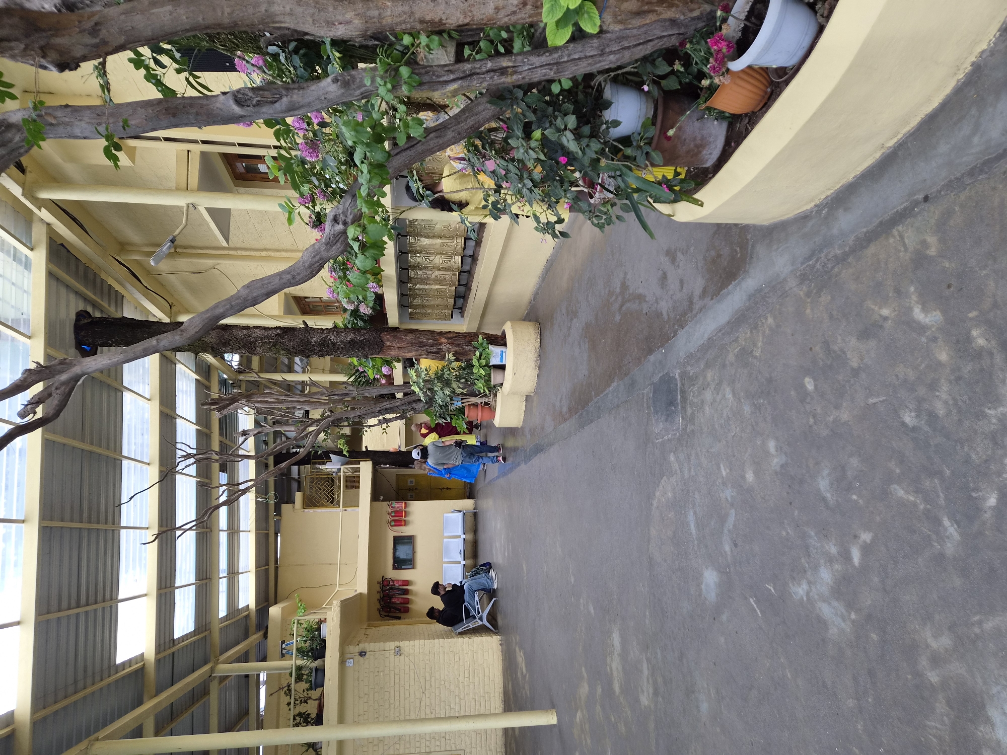 The image depicts an outdoor courtyard area within a building complex, likely in Dharamshala, India, given the presence of Tibetan prayer wheels. The courtyard is covered by a translucent corrugated roof supported by a yellow metal frame. The walls of the building are painted a light yellow. In the foreground, the ground is paved with grey concrete, showing some water stains and wear.
To the left, two men are seated on a silver bench. The man on the left is wearing a black jacket and a cap, while the man on the right is wearing a black jacket and has a bag next to him. Behind them, on the wall, are several red fire extinguishers mounted in a row.
As one moves towards the right side of the image, a row of decorative Tibetan prayer wheels is visible along a curved yellow wall. Several trees with bare branches and green foliage are present, interspersed with potted plants containing pink and green flowers. A person in a bright yellow garment is visible walking away from the camera in the middle ground. Further to the right, a person wearing a white cap and a grey shirt is walking towards the viewer.
The overall impression is of a peaceful, possibly religious or monastic, setting with elements of both nature and human activity.