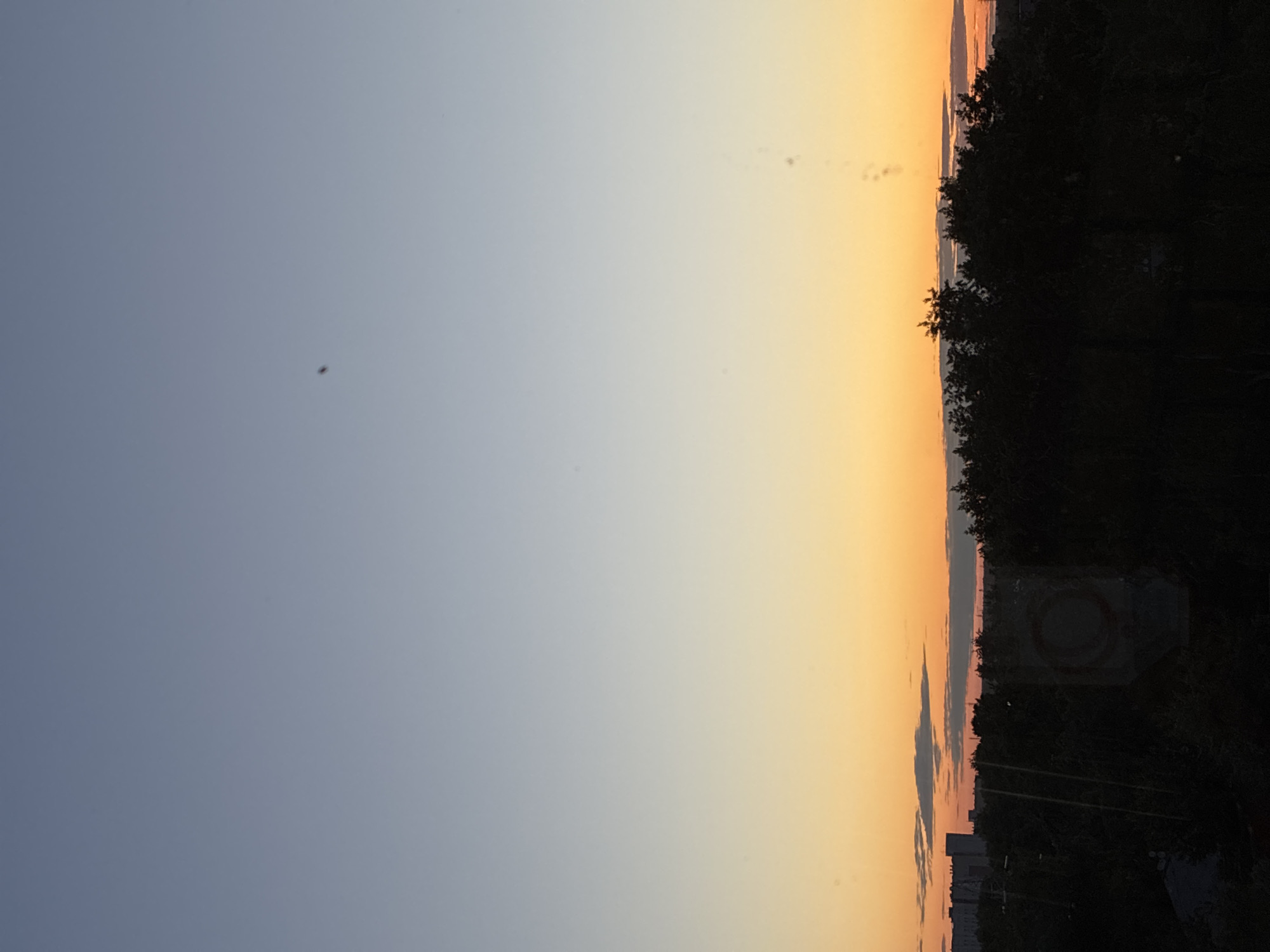 The image depicts a sunset over a city skyline. The sky transitions from a pale blue at the top to a vibrant orange and yellow gradient near the horizon. Silhouetted against the sunset are a line of trees and some buildings in the distance. The trees appear dense and dark, obscuring much of the ground. The overall impression is a peaceful evening scene.