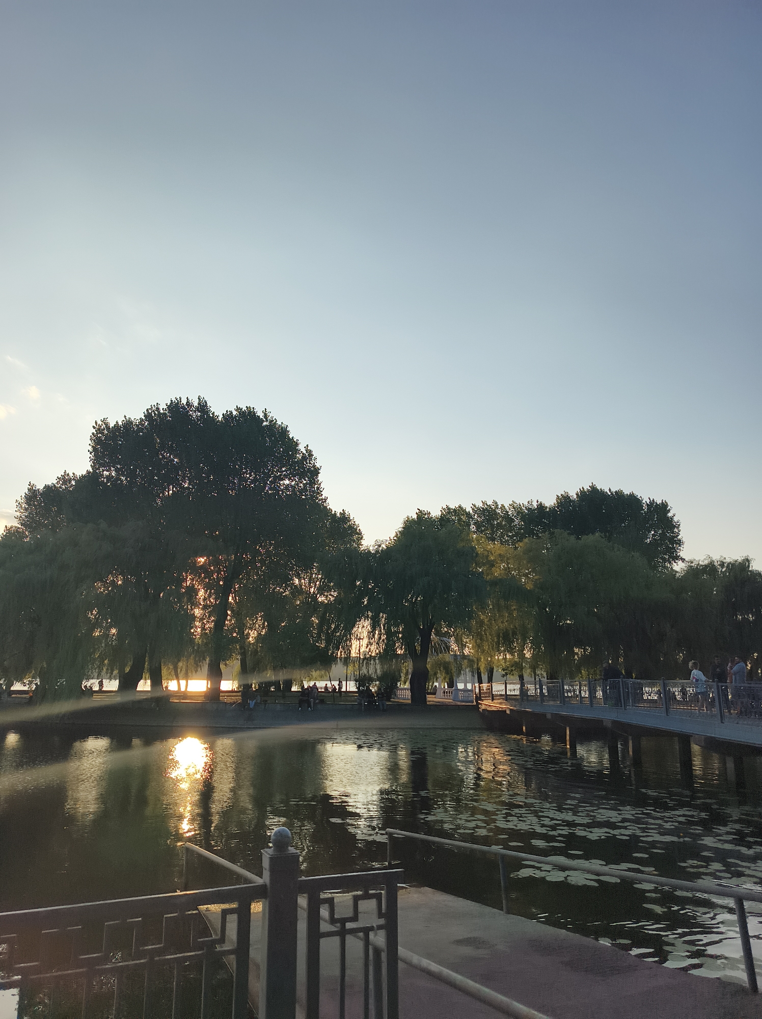 The image captures a serene sunset scene at Ternopil Lake in Ternopil, Ukraine. The sky above is a clear, pale blue, gradually transitioning to a lighter hue near the horizon, hinting at the fading daylight. The sun, a bright, intense point of light, is positioned behind a cluster of large, mature trees on the left side of the frame. Its radiant glow is reflected in the calm water of the lake, creating a shimmering path of light.
The lake is surrounded by lush greenery, with a variety of trees forming a dense backdrop. Some of the trees, particularly those on the left, appear to be weeping willows, their branches gracefully cascading towards the water. On the right side of the lake, a modern pedestrian bridge extends across the water, supported by several pillars. This bridge is populated with a few individuals, appearing as silhouettes against the bright sky and the warm tones of the sunset. They are casually strolling or standing, observing the scenery.
In the foreground, a pathway leads towards the lake, bordered by a metal railing. The surface of the water is dotted with numerous lily pads, adding a natural texture to the scene. The overall atmosphere is peaceful and tranquil, characteristic of an evening spent in a park or recreational area. The presence of people suggests it is a popular spot for relaxation and enjoyment.