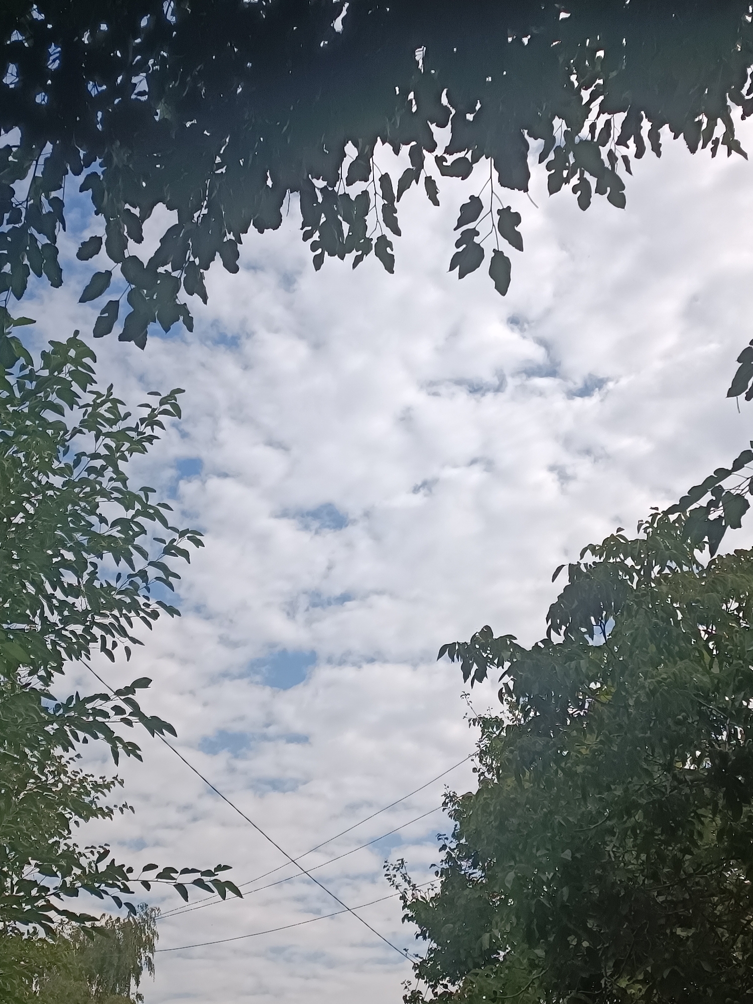 The image depicts a view of the sky framed by tree branches, with some power lines visible. The sky is partially cloudy, with patches of blue. The trees are lush and green, with leaves silhouetted against the sky. The power lines are thin and extend diagonally across the frame. The scene appears to be outdoors, likely in a residential or park area. Without further information or context, it is impossible to determine the exact location in Zaporizhzhia, Ukraine, or to identify specific people, actions, or interactions.