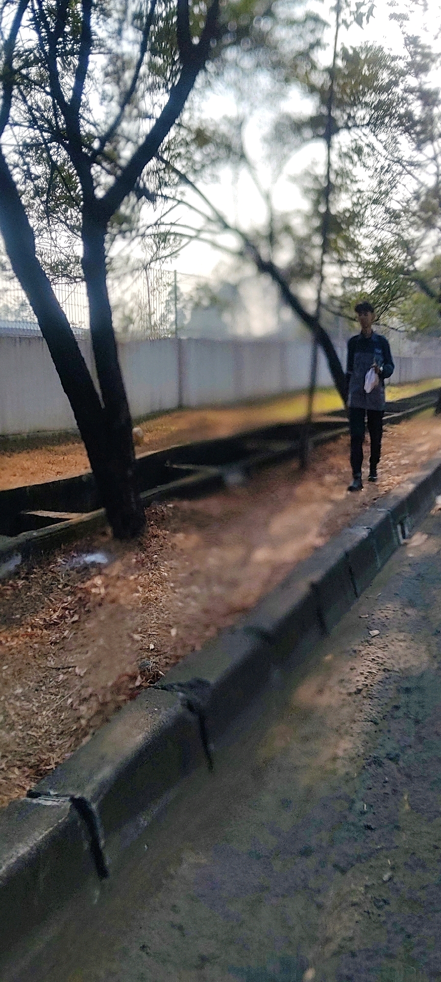 The image shows a person walking along a paved area with a concrete curb on the right and a drainage ditch with dry leaves on the left. A wall with a fence on top is visible in the background, with trees in the foreground and middle ground. The person is wearing dark pants and a dark shirt with a lighter vest or jacket. The ground is mostly dry earth and some fallen leaves. The lighting suggests it may be early morning or late afternoon, with some haze in the air. The overall scene appears to be an outdoor walkway or path within a developed area, possibly near a property boundary.