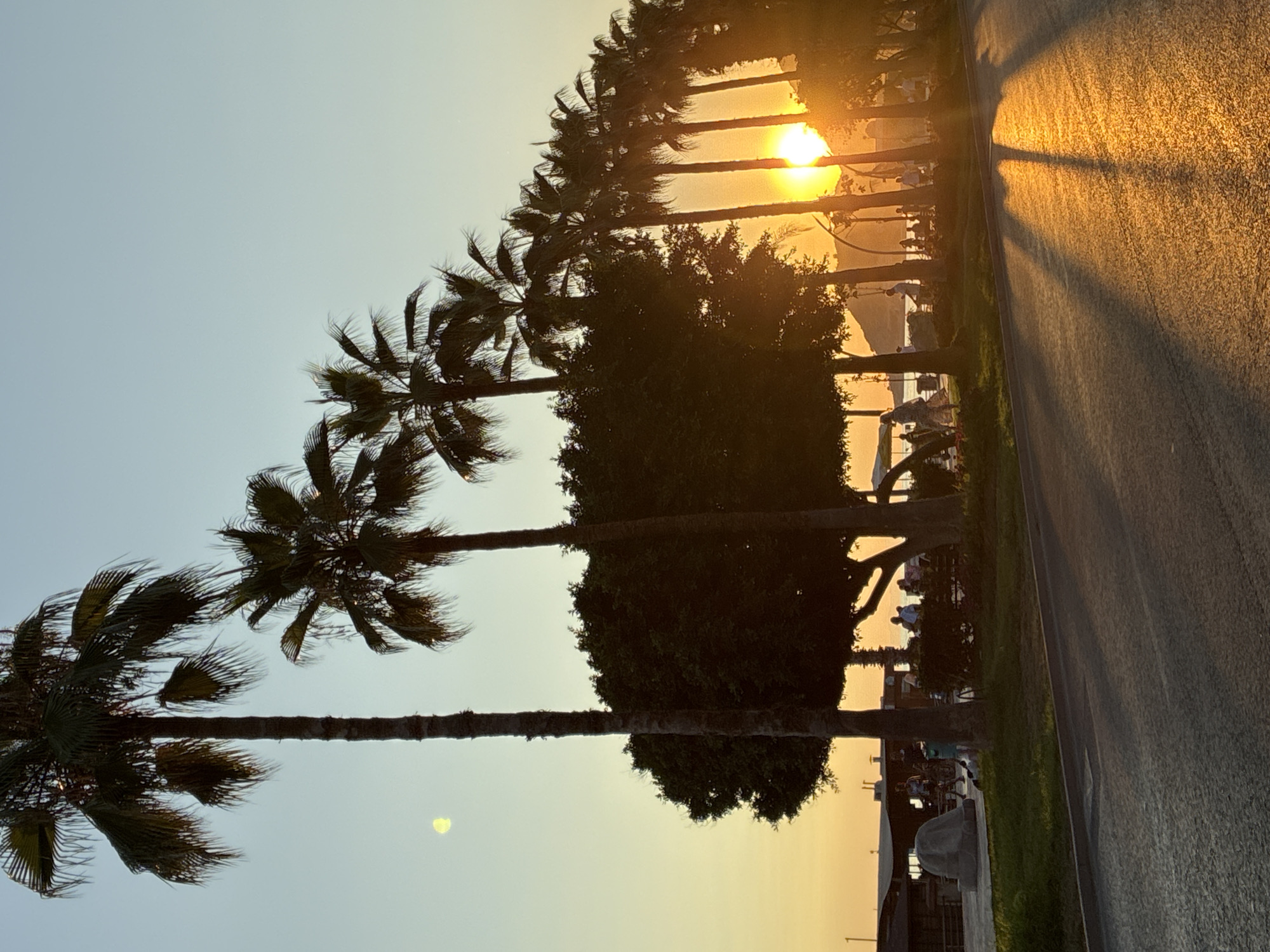 A row of palm trees lines a coastal promenade in Alanya, Turkey, as the sun sets. The golden light casts long shadows across the asphalt road in the foreground. People are visible walking and interacting along the promenade, with buildings and hills in the background. The sky is a gradient of light blue and orange, indicating dusk.