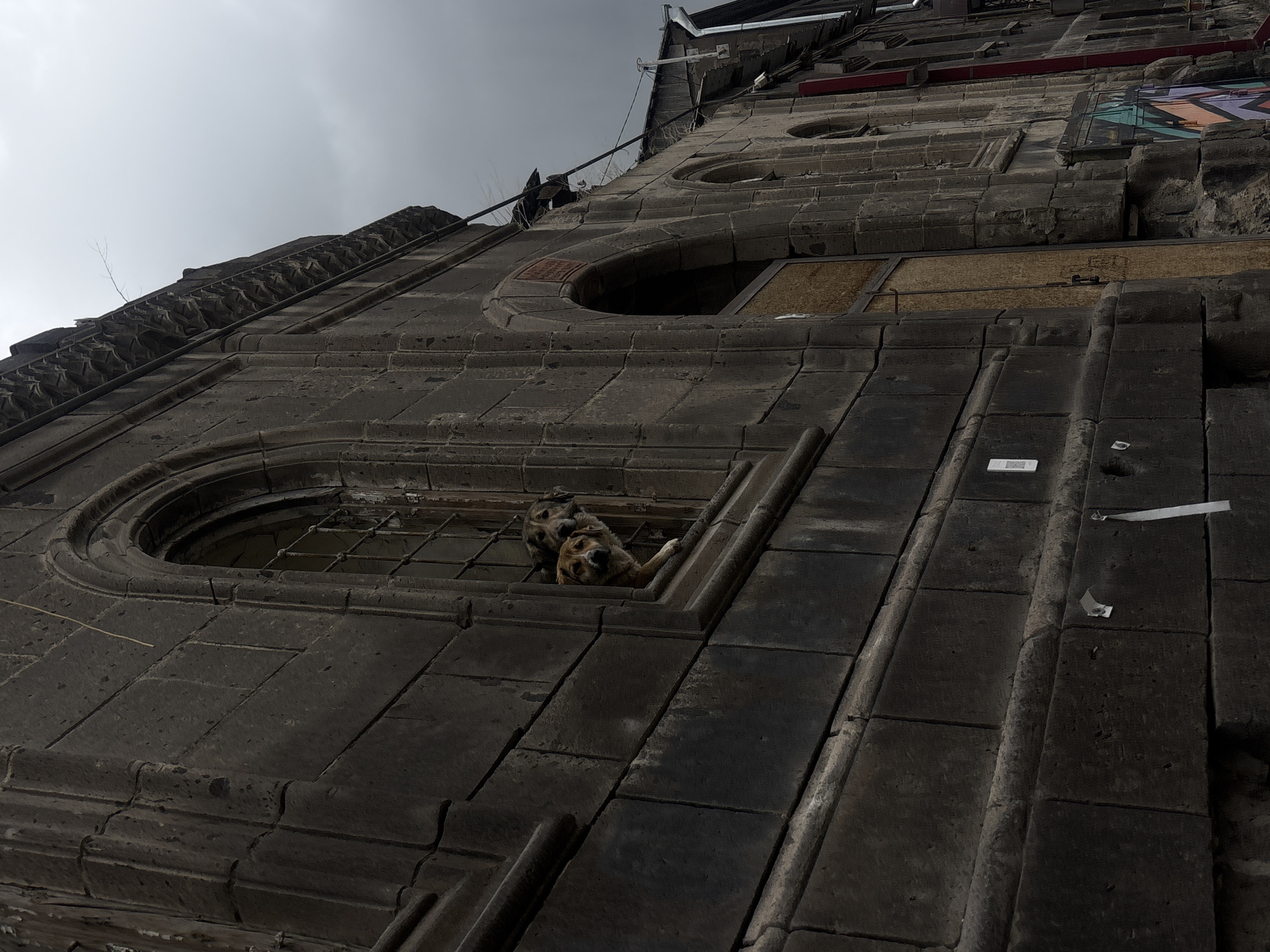 This is a low-angle shot of a tall, dark stone building under a cloudy sky. The architecture features rounded windows, some with bars, and detailed stonework. In one of the windows, two dogs are visible. The building appears old and weathered, with some sections showing damage. Graffiti can be seen on an upper section of the building. Based on the architectural style and the presence of stone, this is likely a historical building in Gyumri, Armenia.