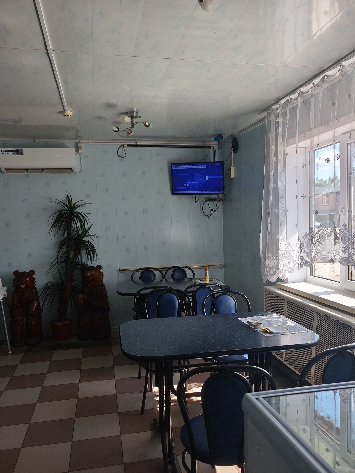 The image depicts a casual dining area or a break room, likely located in Kady, Russia, judging by the language on the television screen which displays a Russian news channel. The room is sparsely furnished with several tables and blue upholstered chairs. On the left side of the room, there is an air conditioning unit mounted high on the wall, and two wooden bear carvings stand beside a tall artificial palm tree. A television is mounted on the wall, displaying a news broadcast. A large window with white lace curtains is visible on the right, allowing natural light to illuminate the space. The floor is tiled in a brown and beige checkered pattern. The overall impression is one of a simple, utilitarian space.