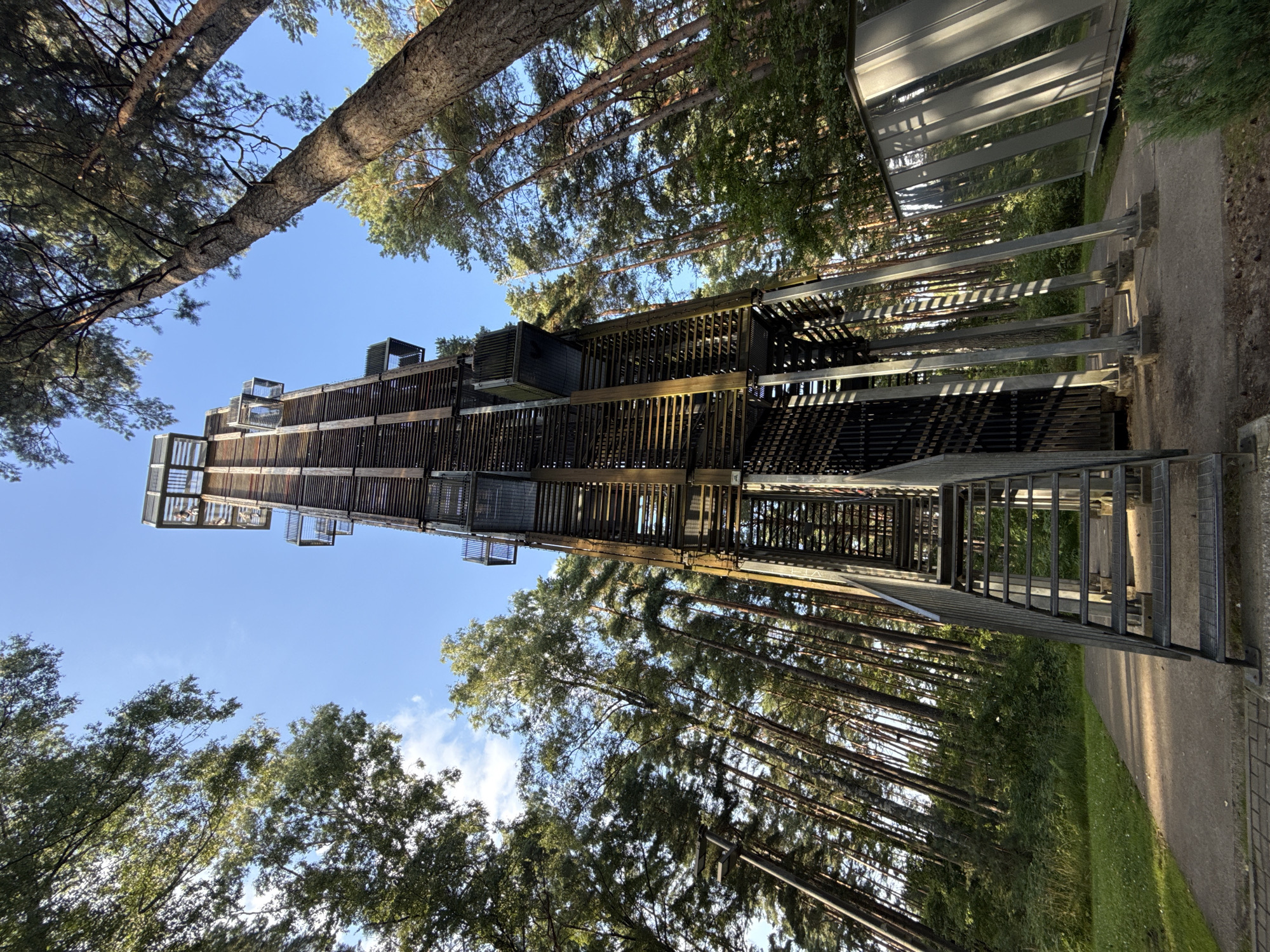 A tall, dark wooden observation tower with metal stairs stands in a pine forest under a clear blue sky. The tower has multiple viewing platforms and is surrounded by tall pine trees. In the foreground, a paved pathway leads to the tower's base. To the right of the tower, a modern, reflective building is partially visible. The scene appears to be a park or a nature reserve. This is the Dzintari Forest Park Observation Tower in Jūrmala, Latvia.