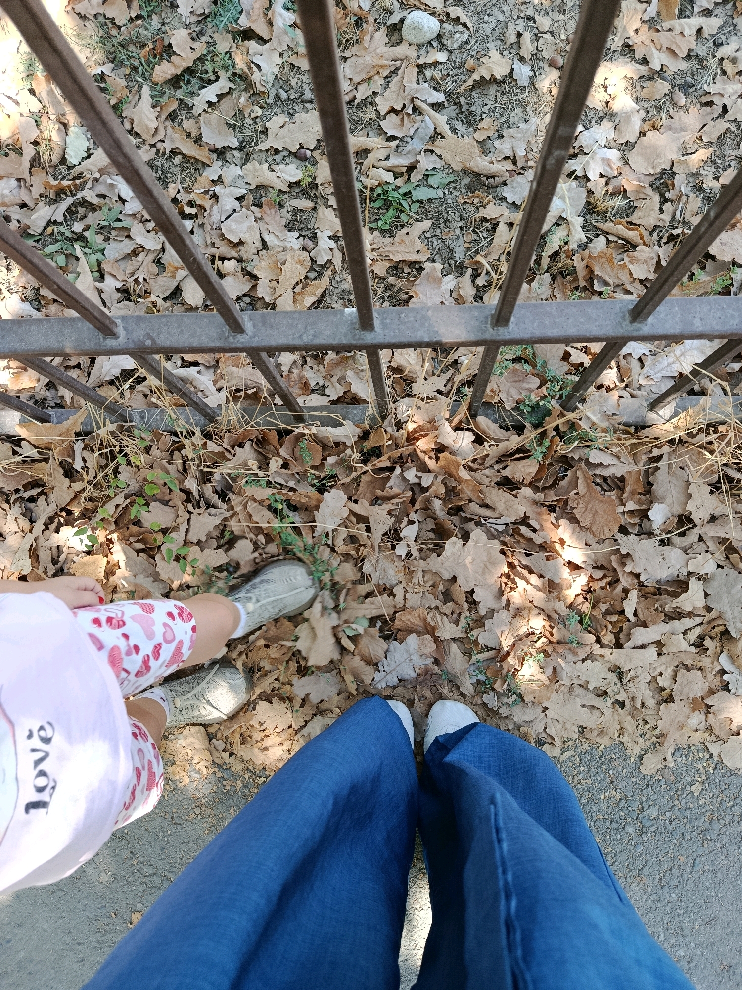 The image shows a top-down view of two pairs of legs in front of a metal fence. The ground is covered in fallen brown leaves and some green sprigs of grass. The legs on the left belong to a child wearing white socks, grey patterned shorts with red hearts, and grey shoes. The child's t-shirt, partially visible, is pink with the word "Love" written in black. The legs on the right belong to an adult wearing blue trousers and white shoes. The scene suggests an outdoor setting, possibly a park or a street lined with trees, in Bishkek City, Kyrgyzstan, during autumn.