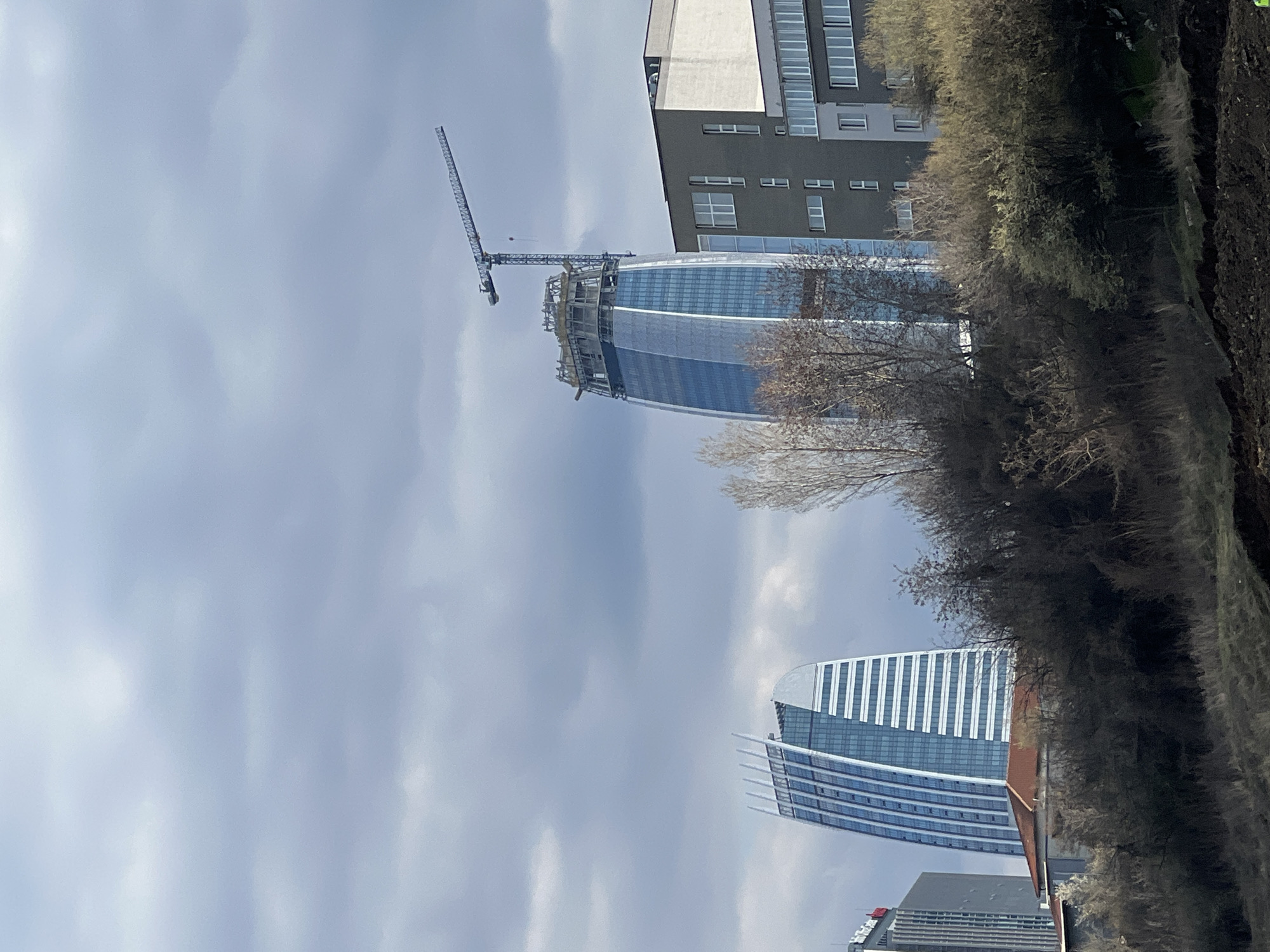 The image displays a segment of the urban landscape in Sofia, Bulgaria, specifically within the Tsarigradsko Shose business district. In the mid-ground, two prominent skyscrapers dominate the view against an overcast sky. The left structure is the completed Sky Fort building, identifiable by its distinctive curved roof, blue glass facade, and white vertical fins along its upper section. To its right, the Paradsia Tower is under active construction, a taller, tapering skyscraper with a blue glass exterior. A large tower crane is visible at its unfinished summit, surrounded by scaffolding. To the immediate right of the Paradsia Tower stands a multi-story building with a modern facade composed of dark grey and light grey panels and multiple rectangular windows. A portion of another grey skyscraper is visible on the far left. The foreground comprises dark, disturbed earth, indicative of an excavation site or undeveloped land. Rising behind this foreground is a vegetated slope densely covered with dormant deciduous trees and shrubs, some showing early signs of green foliage. No individuals or active construction personnel are visible. The scene is illuminated by diffuse light from an uniformly cloudy sky.