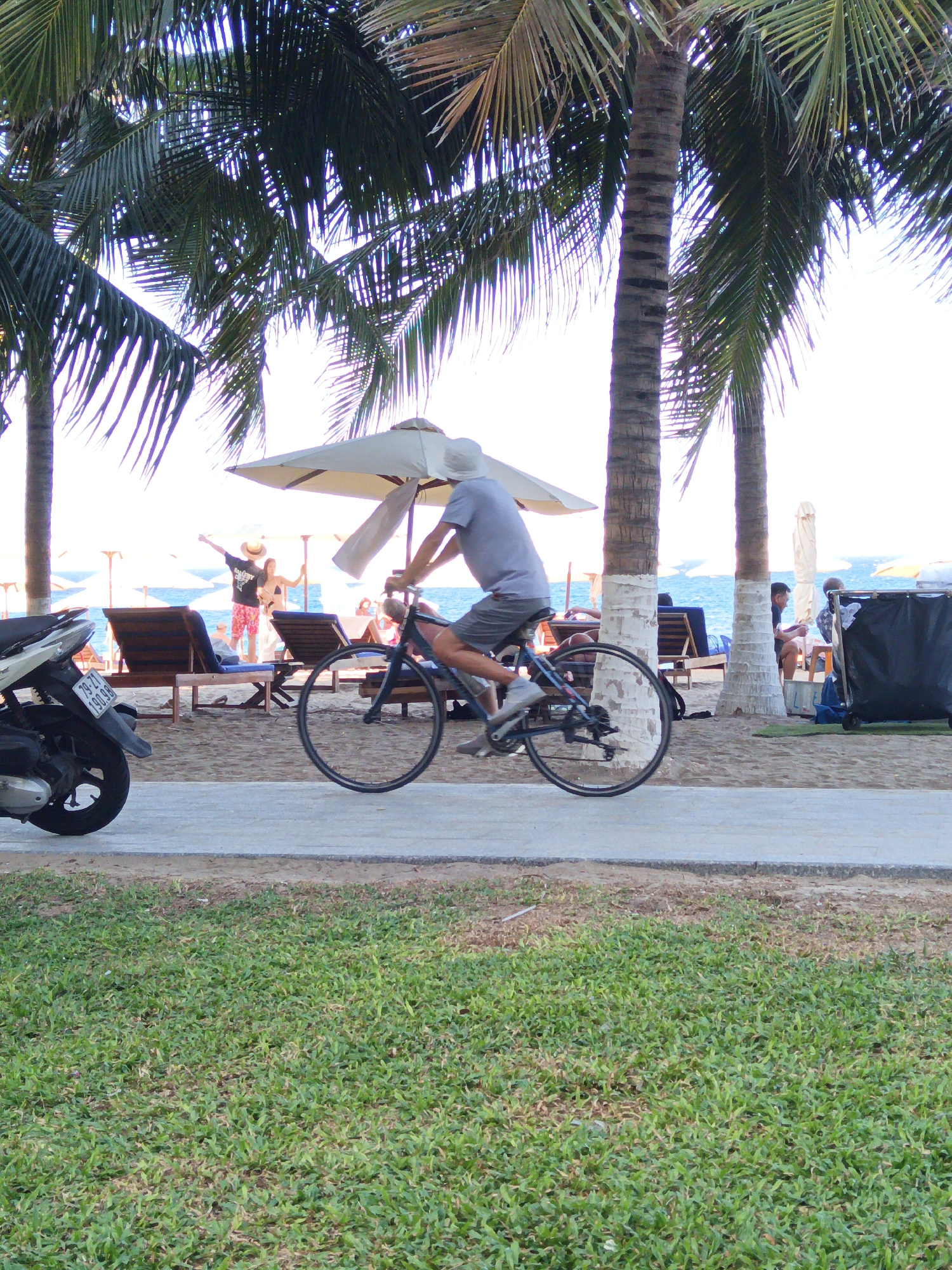 An outdoor scene on a beach in Nha Trang, Vietnam, features a person riding a bicycle on a paved path. Palm trees with fronds partially obscure the bright sky. In the background, beach chairs and umbrellas are set up on the sand, and the ocean is visible. A motorbike is parked on the left side of the path. The overall atmosphere suggests a sunny day at a tourist destination.