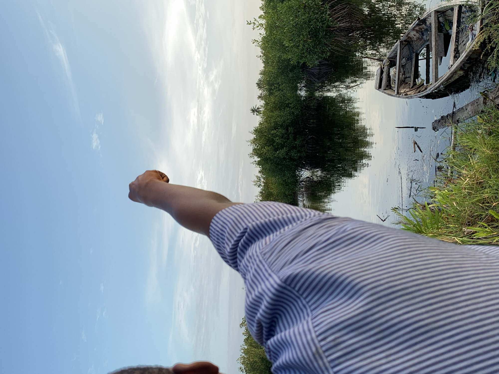 The image, when viewed upright, presents an outdoor scene dominated by a human arm in the foreground, extending from the lower right towards the upper left. The arm belongs to a person wearing a blue and white striped shirt, with a clenched fist raised as if pointing or making a gesture.
Beyond the foreground, a calm body of water occupies the middle ground, reflecting the sky and surrounding greenery. The far bank is lined with dense, lush green vegetation, likely mangroves, with a few taller palm trees visible in the distance. To the right of the water, an old, dilapidated wooden boat, appearing partially submerged or beached, rests against the grassy bank. Its wooden frame is exposed, indicating significant wear.
The sky is bright and clear with scattered, wispy white clouds, suggesting it is daytime, possibly late morning or afternoon, given the soft light and lack of harsh shadows. The reflections on the water indicate a calm environment. The setting appears to be a natural, riverine or coastal landscape, consistent with the provided location context of Ibasa, Nigeria. No visible text is present in the image.