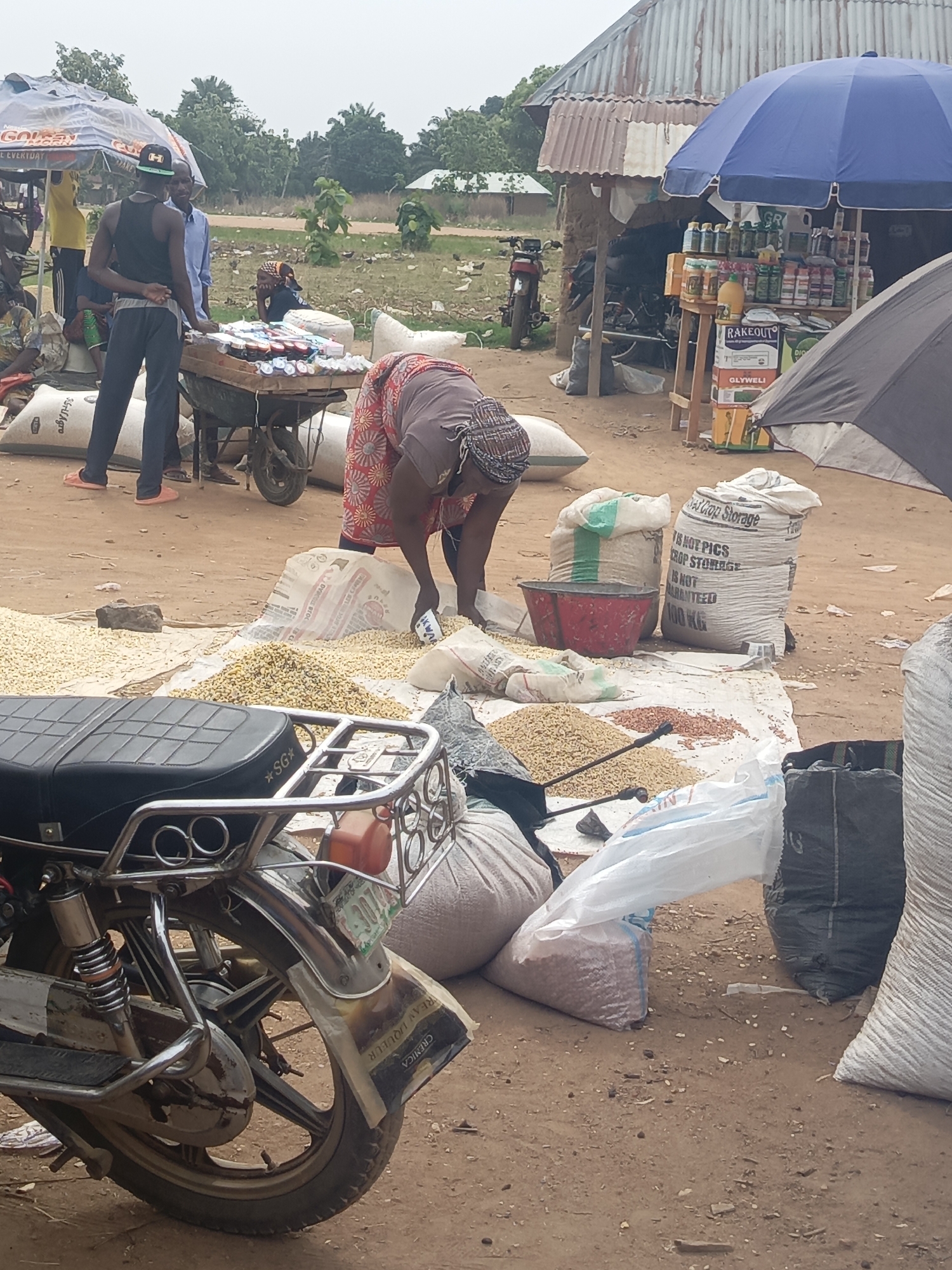 An outdoor market scene is captured in Andaha, Nigeria, under what appears to be an overcast sky during daytime. The ground is dusty and unpaved, characteristic of rural or semi-urban markets.
In the foreground and center, a woman in a patterned dress and headscarf is bending over, attending to large quantities of yellowish grains or beans spread out on white tarpaulins on the ground. Various sacks and bags containing produce are stacked around her, some open. A red bucket sits near a large white bag. Behind her, another woman is partially visible.
To the left, a man in a black tank top and cap stands next to a wooden wheelbarrow serving as a mobile stall, laden with numerous small packaged items, possibly candies or small household goods. He is conversing with another man in a light blue shirt. Behind them, more sacks of goods are visible, and an umbrella with "GOLGEN" and "EVERTOA" printed on it provides shade.
Further to the right, a more permanent stall with a corrugated metal roof displays various bottles and jars, likely oils, beverages, and possibly agricultural chemicals. A blue umbrella extends over this stall, and visible products include "RAKEOUT" and "GLYWELI". One bag explicitly states "Crop Storage IS NOT PICS CROP STORAGE IS NOT GUARANTEED 100 KG".
In the immediate foreground, the rear section of a motorcycle is prominently featured, showing its seat with "*SG*" branding, exhaust pipes, and wheel. Text "CREMICA REAN LIQUEUR" is visible on the rear mudguard.
The background shows sparse vegetation, some simple residential structures with corrugated roofs, and glimpses of other motorcycles, reinforcing the busy market atmosphere. The overall scene depicts a bustling local market engaged in the sale of produce and various packaged goods.