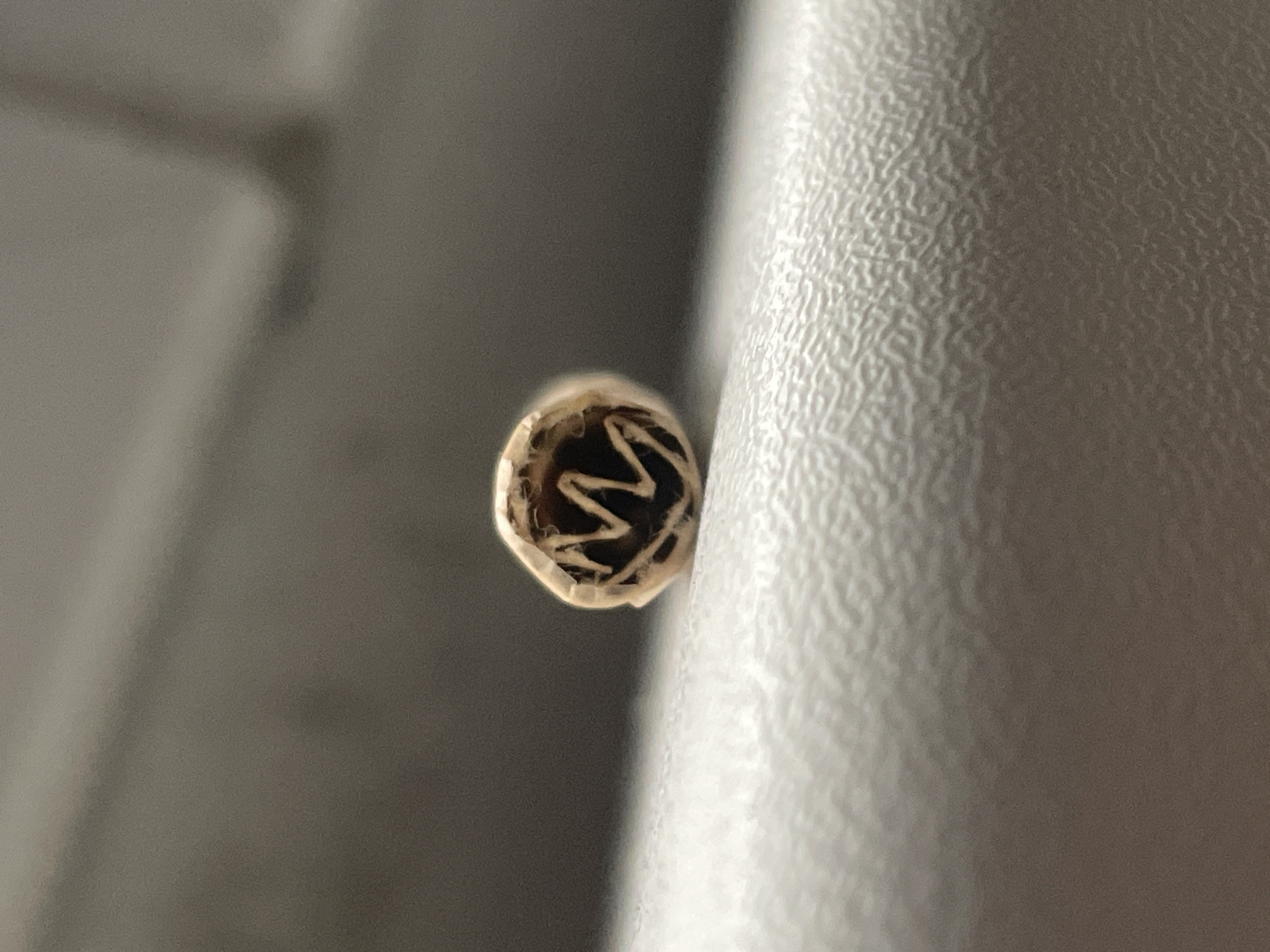 The media file is a close-up, macro photograph of the end of a rolled cigarette or similar item. The object is positioned vertically, with its end facing the camera. The interior of the roll shows a spiraled pattern of what appears to be organic material, possibly tobacco or cannabis. The outer paper wrapping is light brown.
To the right of the cigarette, a textured, off-white surface is visible. This surface has a consistent, pebble-like texture, suggesting it could be part of an upholstered seat, a piece of furniture, or a similar material with a raised pattern. The lighting in the image is soft, highlighting the textures of both the cigarette's interior and the textured surface.
To the left of the cigarette is a blurred background, appearing as soft grey and brown tones, indicating a shallow depth of field. This blur suggests the focus is exclusively on the cigarette and its immediate surroundings. There are no people visible, nor is any text discernible within the image. The overall impression is one of focused detail on a small, everyday object in an indoor setting. The provided location context of Teplice, Czechia, does not offer specific visual cues within the image itself.