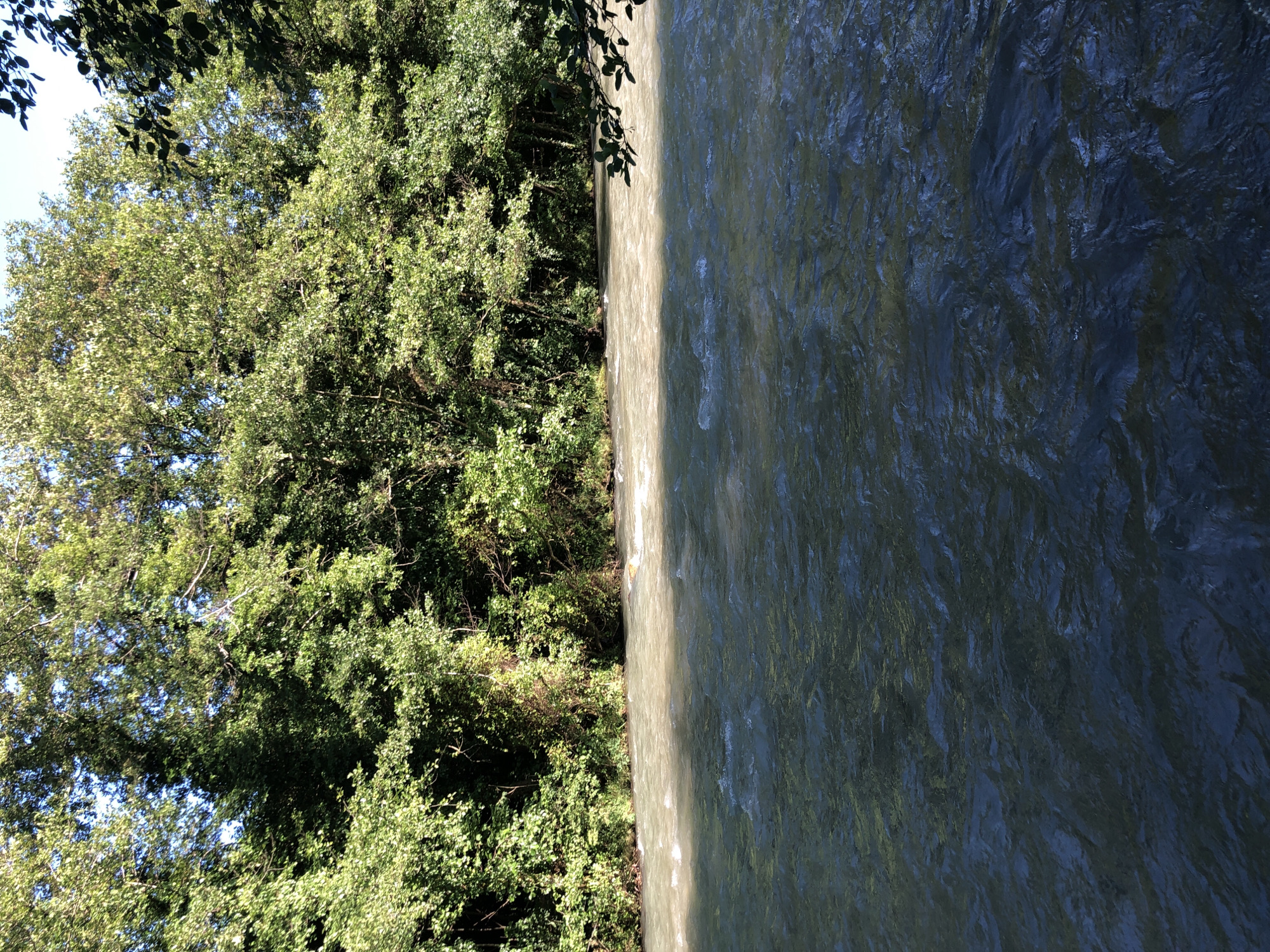 The image displays a serene natural scene divided by a river. On the left side, dense, lush green foliage of trees and bushes fills the frame, suggesting a verdant forest or riverside vegetation. Sunlight filters through the leaves, creating dappled patterns and highlighting the different shades of green. The sky is visible in patches through the canopy, appearing a light blue.
The right side of the image is dominated by the flowing river. The water is a deep, dark blue-grey, with visible ripples and currents indicating movement. A band of light, likely sunlight, cuts across the water's surface, illuminating a section of the river and creating a shimmering effect. This light contrast accentuates the texture and depth of the water. A few leaves and twigs from the overhanging trees are visible along the edge of the riverbank, casting shadows on the water.
The scene evokes a sense of tranquility and natural beauty. The time of day appears to be daytime, possibly late morning or early afternoon, given the bright sunlight. The weather seems pleasant, with clear skies and sunshine. There are no people or man-made objects visible, emphasizing the wild and untouched nature of the location. The image captures a typical riverside setting in a natural landscape, with the vibrant greenery contrasting with the dynamic flow of the water. The location is identified as Abzhanda, Abkhazia. No text is visible in the image.