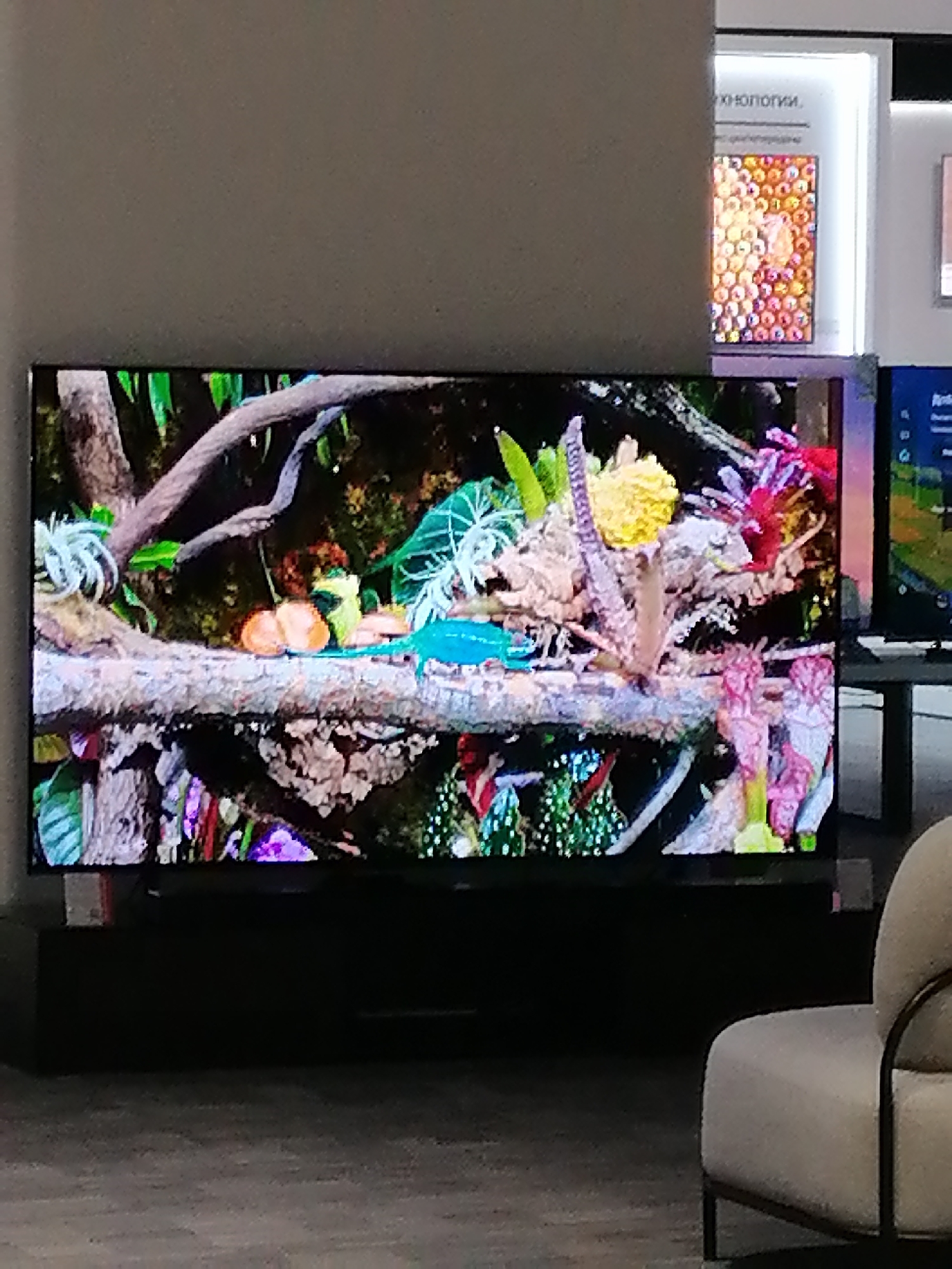 A television displays a vibrant, detailed image of a natural scene, possibly a terrarium or a close-up of a forest floor. The image features a thick, textured branch running horizontally across the screen, adorned with various plants and what appears to be a bright turquoise gecko. Among the foliage, there are colorful flowers or fungi in shades of pink, purple, yellow, and green, along with some light-colored, delicate plant structures. The background is a dark, lush green, suggesting a dense forest environment. To the right of the main television, partially visible, is another screen displaying a colorful, circular pattern. In the foreground, a modern, light-colored armchair with a curved backrest and black metal legs is positioned. The setting appears to be an indoor retail space or exhibition, indicated by the display of electronics and the overall lighting. The location is confirmed to be Rostov-on-Don, Russia, likely within a store showcasing televisions or technology.