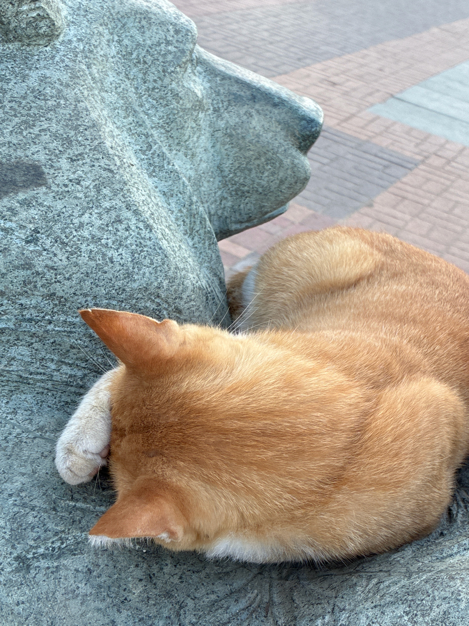 An orange cat is curled up asleep next to a stone structure, with its paw covering its face. The cat is lying on a textured surface that appears to be stone. The background shows a paved area with geometric patterns. The scene appears to be outdoors, possibly in a park or public space. There is no indication of the specific location within Alanya, Turkey.