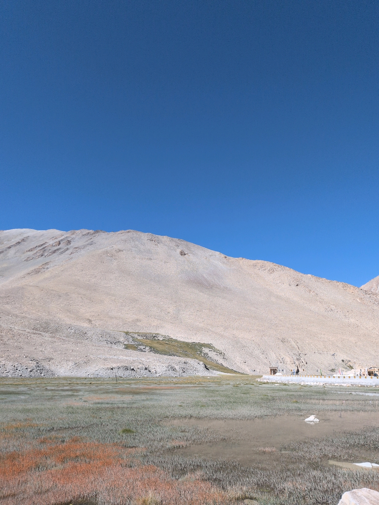 A wide shot captures a barren, light-colored mountain slope under a clear, bright blue sky. The lower part of the image features a shallow body of water with dense, reed-like vegetation. The vegetation is a mix of green and reddish-brown hues, with some areas appearing to be submerged in the water. In the distance, along the base of the mountain, there are several small wooden structures that appear to be shelters or stalls, suggesting some human activity. A few figures, seemingly people, are visible near these structures. The overall scene depicts a high-altitude, arid environment with a natural water feature.
