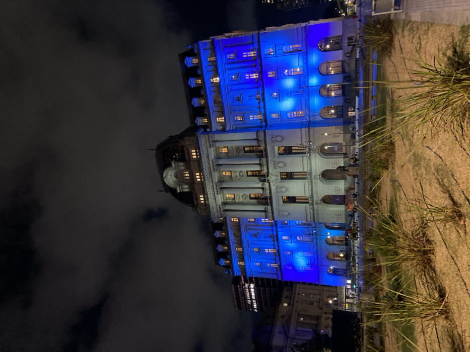 A low-angle nighttime shot shows a large building illuminated with blue lights, standing against a cloudy sky. The building has a classical architectural style, featuring columns, arched windows, and a dome. Street-level elements, including a grassy area and some indistinct structures, are in the foreground. The building's illumination casts a striking blue hue, contrasting with the darkness of the sky.