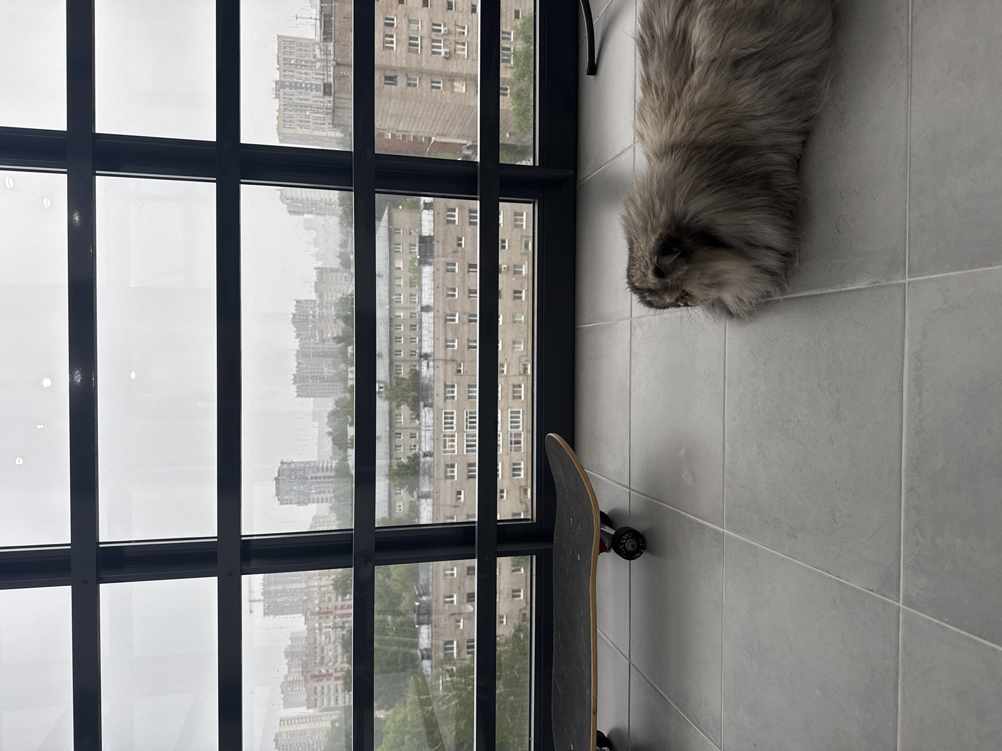 A high-angle indoor shot shows a gray cat lying on gray tiles next to a black skateboard, with a window behind them offering a view of a cityscape. The window has a grid-like black frame. The buildings visible through the window are high-rise residential apartments, typical of urban environments. The shot captures a subdued color palette dominated by grays and blacks, reflecting an overcast or rainy weather outside. The location is Izhevsk, Russia.