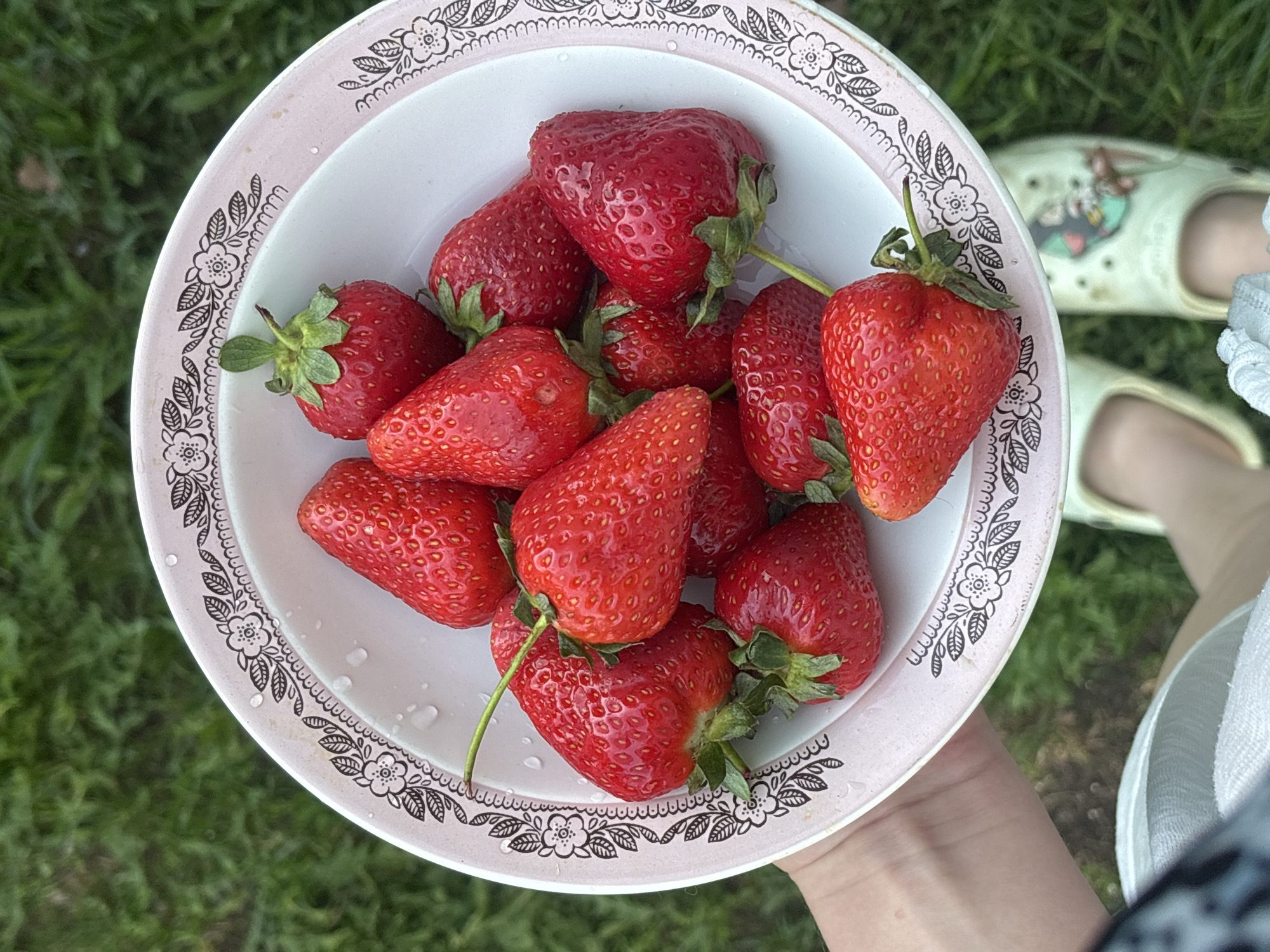 An overhead shot shows a person holding a white bowl filled with strawberries against a backdrop of green grass. The bowl has a pink rim decorated with a black floral pattern. Inside the bowl, approximately 12 ripe red strawberries with green stems are visible. The person holding the bowl has fair skin, and part of their forearm and hand are visible. In the background, near the person's feet, are pale yellow shoes with cartoon characters on them. A portion of the person's white clothing can also be seen on the lower right. The setting is outdoors, evidenced by the green grass visible in the background. There is no explicit information to connect the image with the city of Мещёры, Russia.
