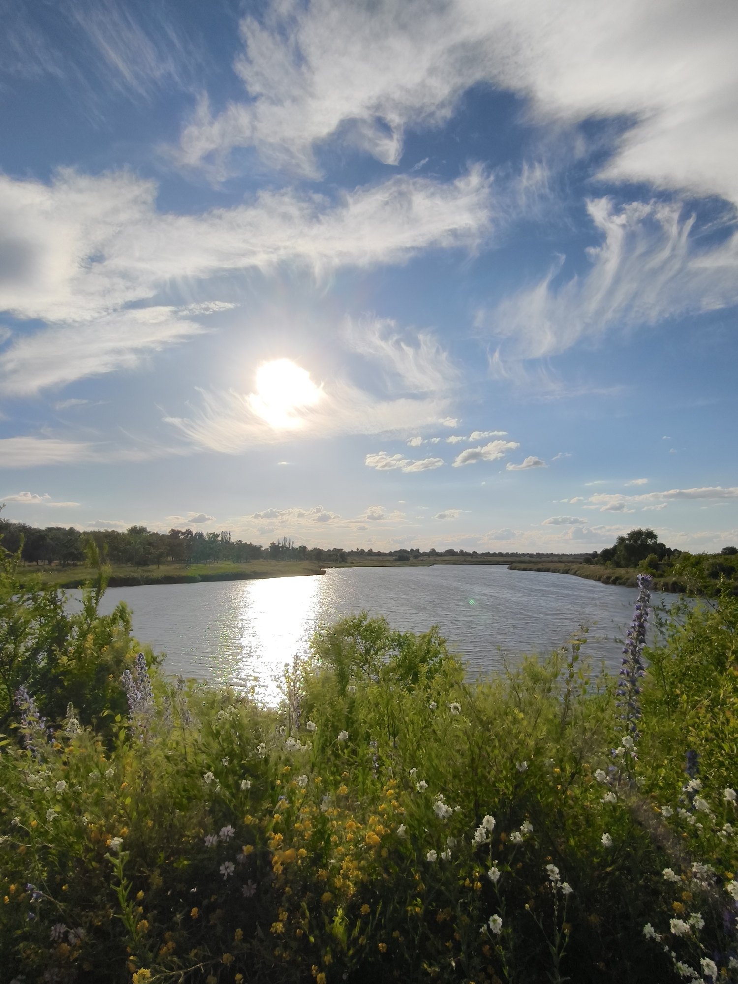 This is an outdoor, eye-level shot of a tranquil scene in Shyroka Dacha, Ukraine. The image captures a wide, calm body of water reflecting the bright midday sun. The sky above is a vibrant blue, adorned with wispy white cirrus clouds and a few scattered cumulus clouds. The sun is prominently positioned in the upper left quadrant, its light creating a strong, shimmering reflection on the water's surface.
The foreground is dominated by a lush, dense patch of wildflowers and green foliage. Small white and yellow flowers are abundant, interspersed with taller, delicate purple blooms. The vegetation creates a soft, natural border between the viewer and the water.
In the mid-ground, the water extends towards a distant, tree-lined shore. The trees appear as a continuous green band, with some taller specimens interspersed. The landscape on the far side of the water is flat and appears to be grassland or fields, with a few scattered trees and structures visible on the horizon. The overall impression is one of natural beauty and serenity. There are no people or animals visible in the image.