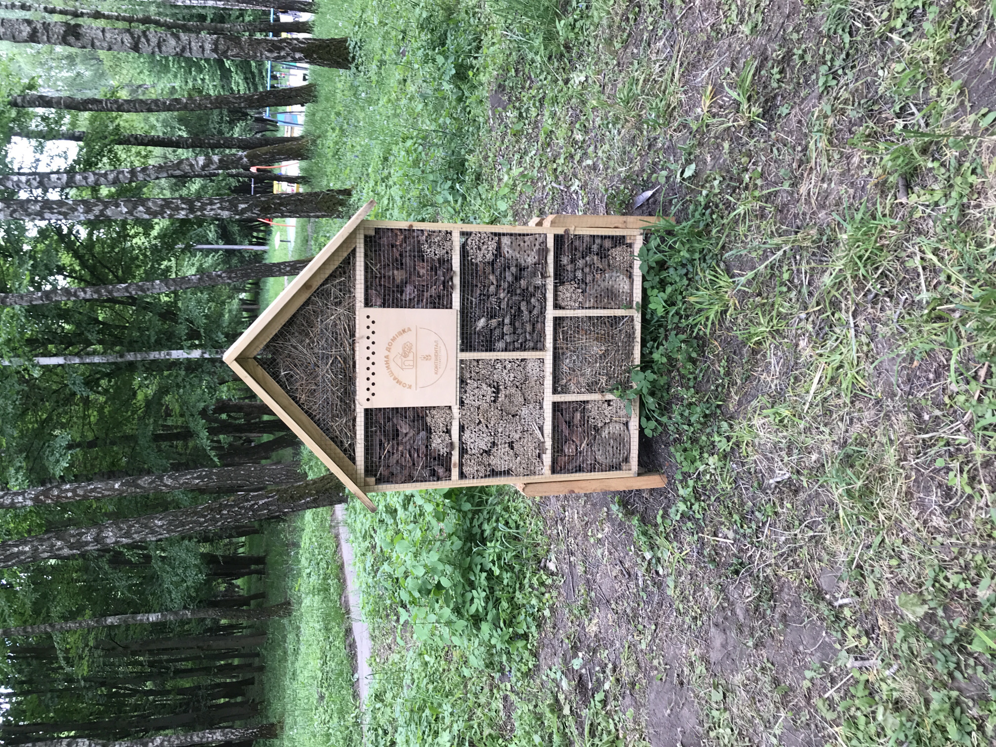 The image shows a wooden insect hotel, shaped like a house, standing in a grassy area. The insect hotel is divided into multiple compartments filled with various materials, including straw, bark, pine cones, and small sticks. A wooden sign with text in Ukrainian is attached to the front of the hotel. The background includes trees, suggesting a park or wooded area. Based on the sign, the location is likely Ternopil, Ukraine.