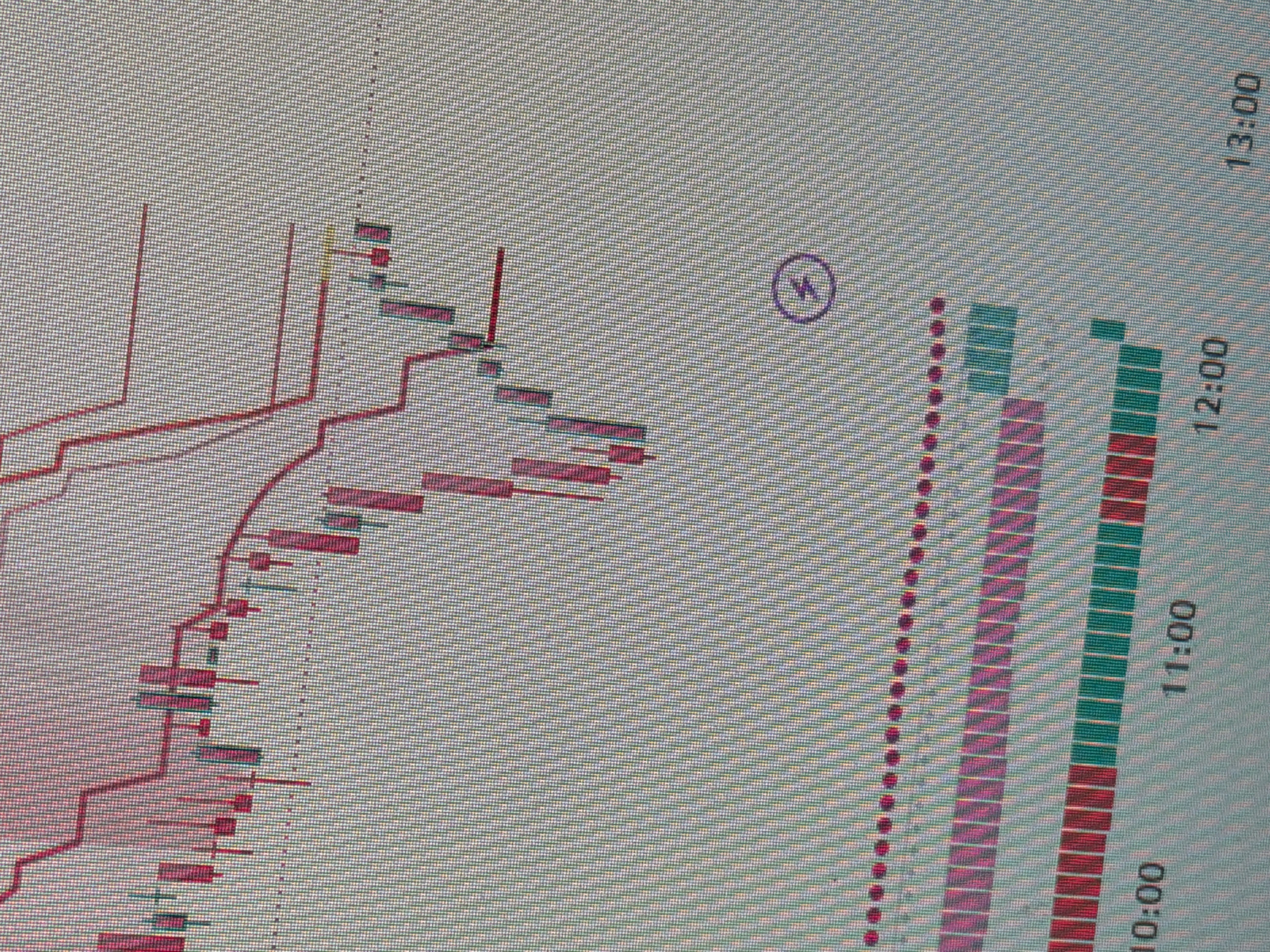The image shows a close-up of a computer screen displaying a financial chart with candlestick and line graphs. The chart appears to track market activity with time stamps indicating 10:00, 11:00, 12:00, and 13:00. There are also colored horizontal bars below the main graph, likely representing trading volumes or other indicators. A small circular icon with a lightning bolt inside is visible on the right side of the chart. The background of the screen has a distinct textured pattern. There are no people or any identifiable landmarks of Homyel, Belarus visible in the image.