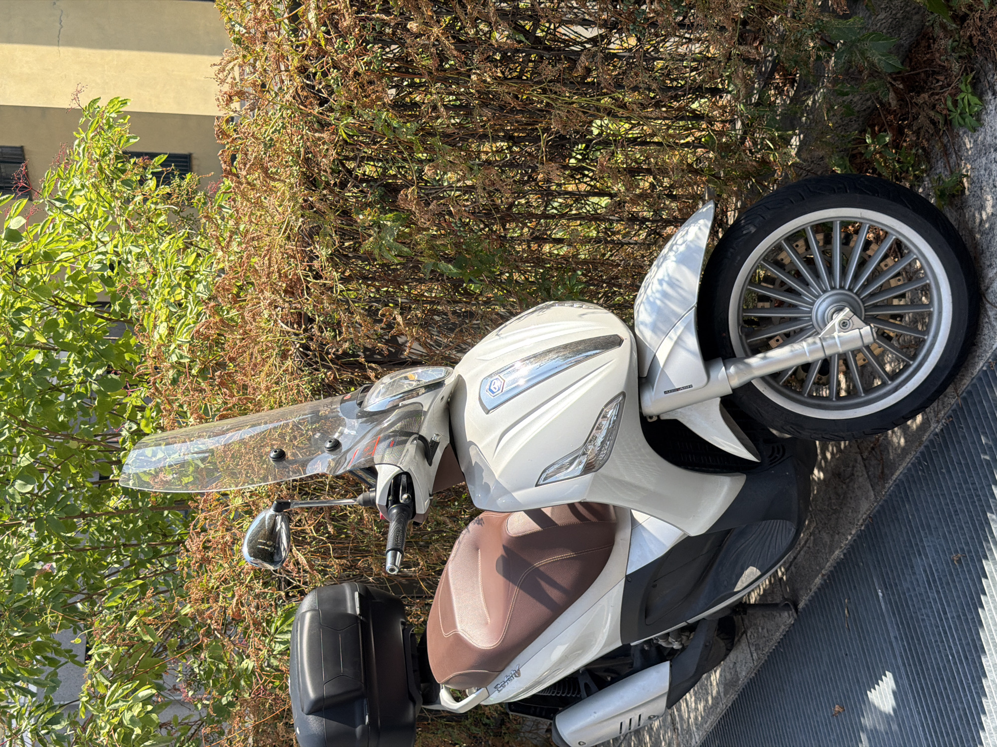 A white Piaggio scooter with a brown seat and a black top case is parked on a metal grate next to a hedge and a building. The scooter has a clear windshield and a silver front wheel. The building behind the scooter is light yellow with dark windows. The hedge is dense and green with some brown branches. The scene appears to be outdoors in a city setting.