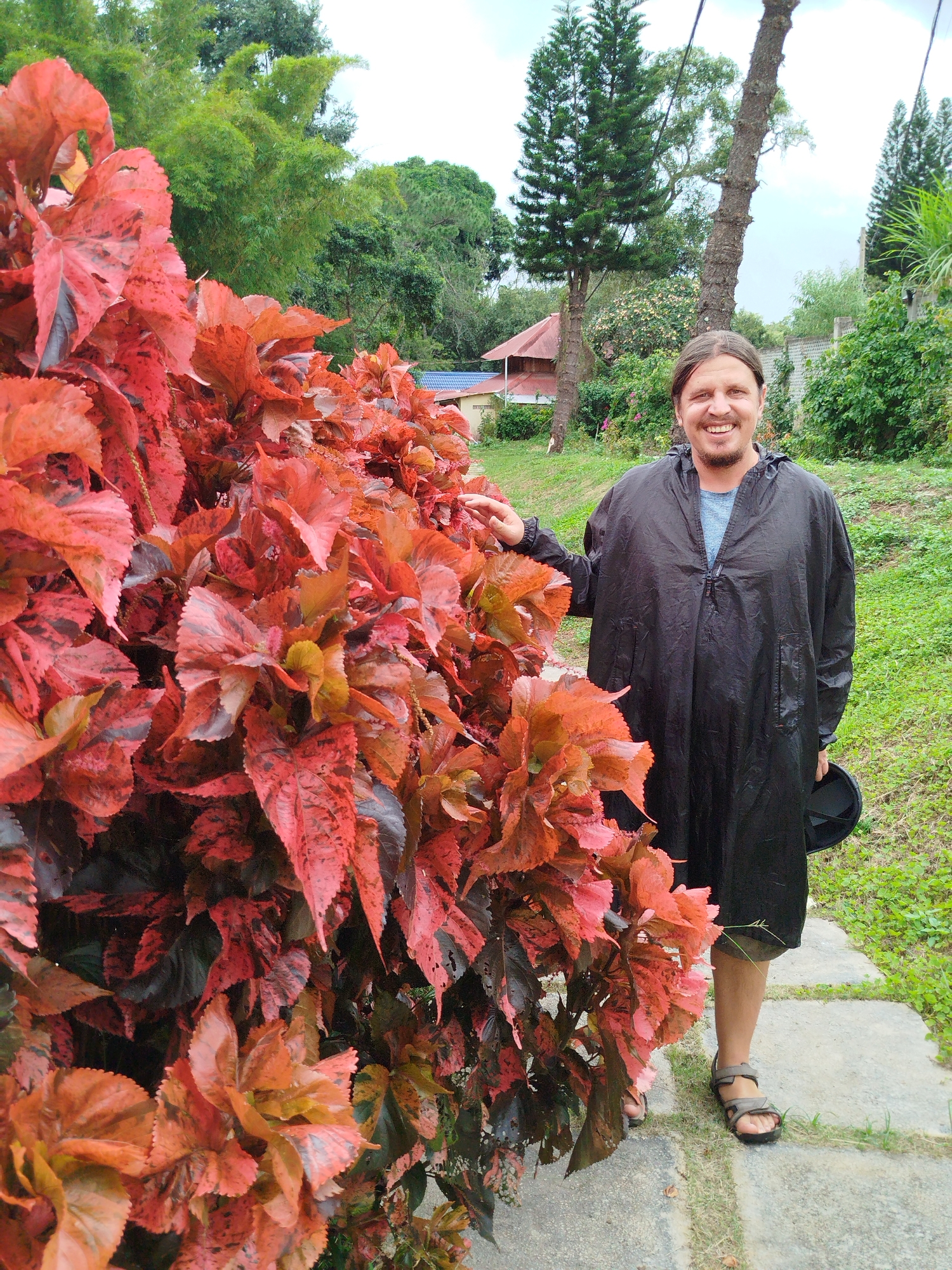A man is standing next to a large bush of red and orange leaves. He is wearing a black poncho over a blue shirt, shorts, and sandals. He is smiling and holding a black hat in his right hand. The bush is lush and full of vibrant foliage. Behind the man, there are trees, a building with a red roof, and a stone path. The scene appears to be an outdoor setting in Xuan Huong Lake area of Da Lat, Vietnam, with lush greenery and a tranquil atmosphere.