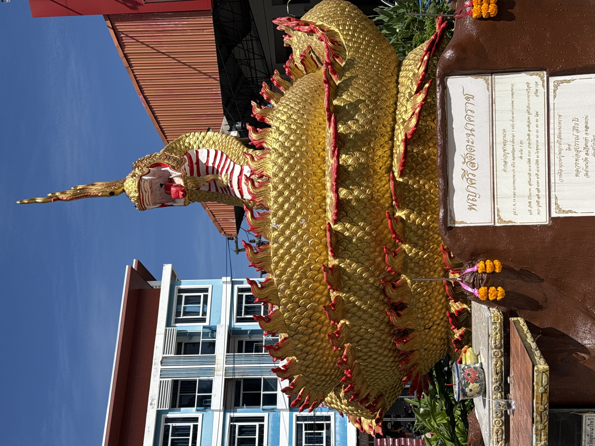 In Patong, Thailand, a large, ornate statue of a golden Naga, a mythical serpentine being, dominates the foreground. The statue is coiled and features intricate scales painted gold with red accents along its fins and head. The Naga's mouth is open, revealing a red tongue and white fangs. Behind the statue, a light blue building with white-trimmed windows stands under a clear blue sky. To the right of the building, a red corrugated metal structure is visible. In front of the Naga statue, a brown pedestal holds various offerings and inscriptions. These include a ceramic pot with flowers, a glass of water, and marigold garlands. A sign with Thai script is affixed to the pedestal, likely providing information about the statue or its significance. The overall scene suggests a place of worship or a cultural landmark in Patong.